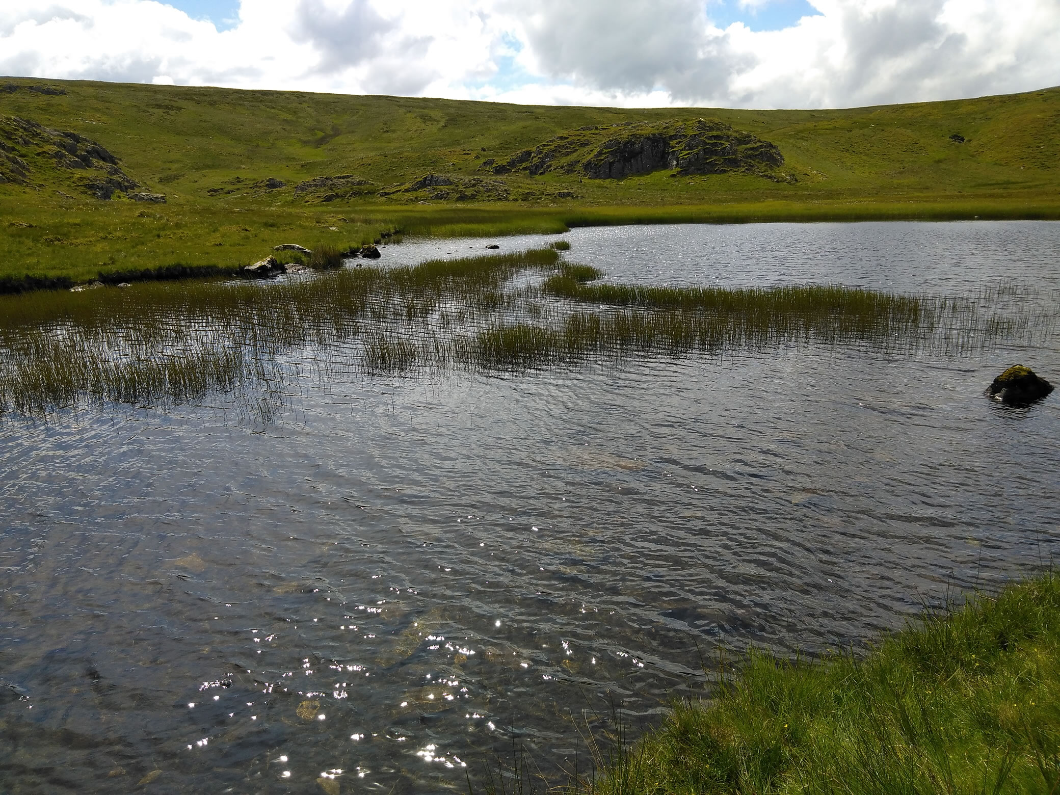 Dale Head, High Spy Jun 12, 2024 - Image 4