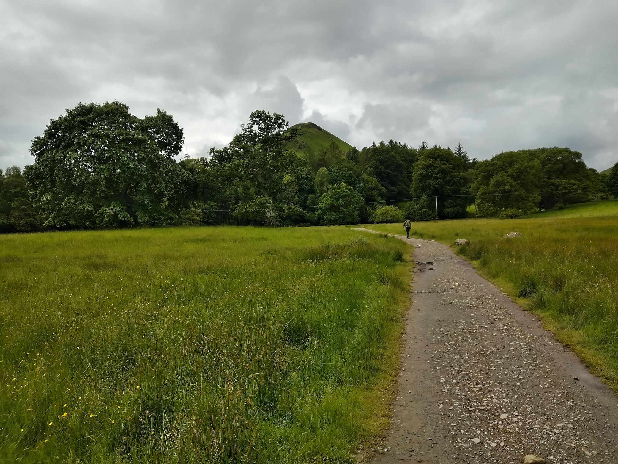 Cat Bells [in the rain] Jun 15, 2024 - Image 2