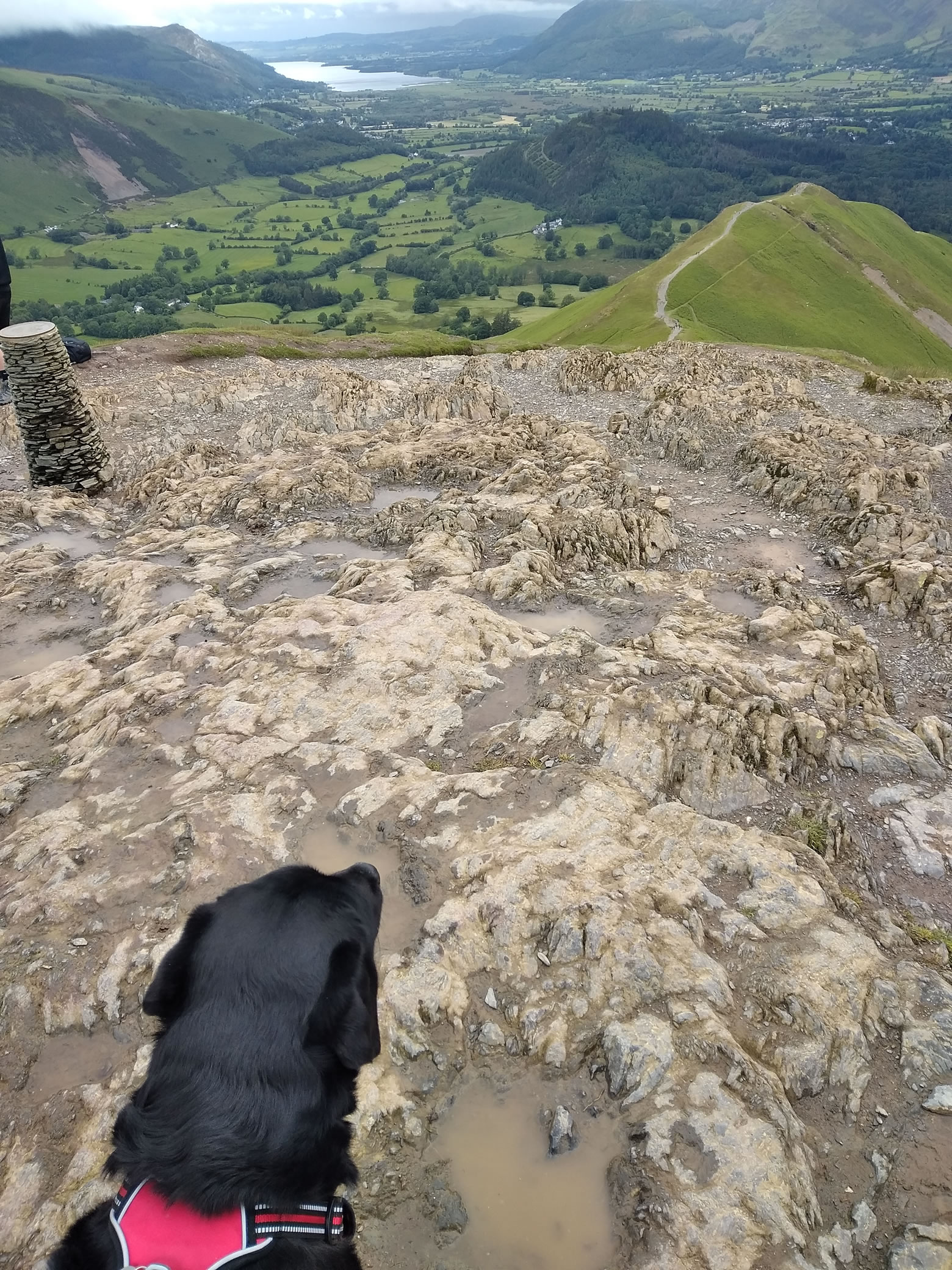Cat Bells [in the rain] Jun 15, 2024 - Image 4