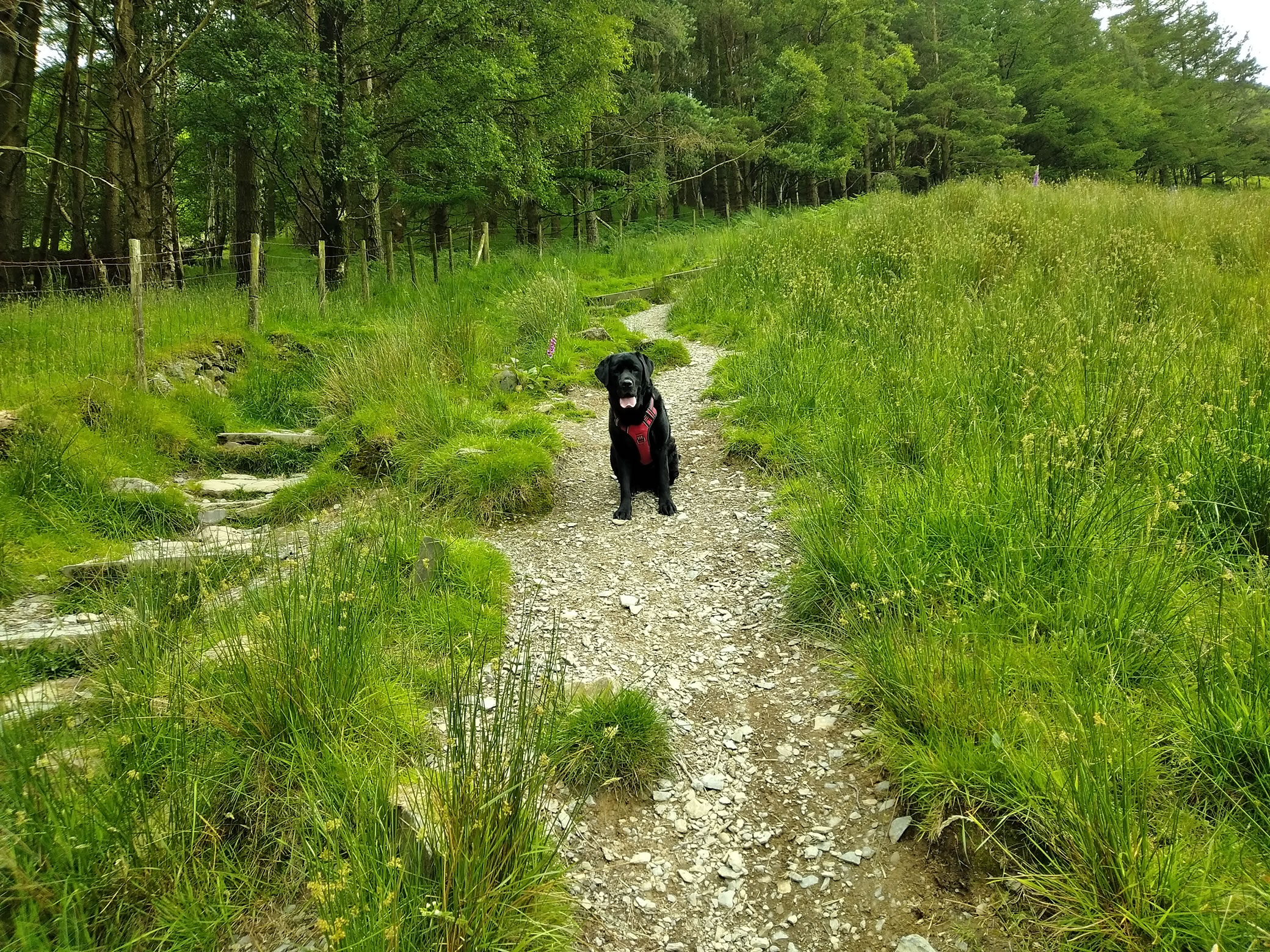 Hay Stacks Jun 25, 2024 - Image 2
