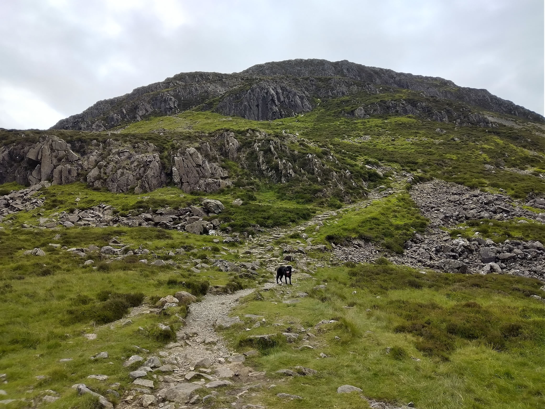 Hay Stacks Jun 25, 2024 - Image 3