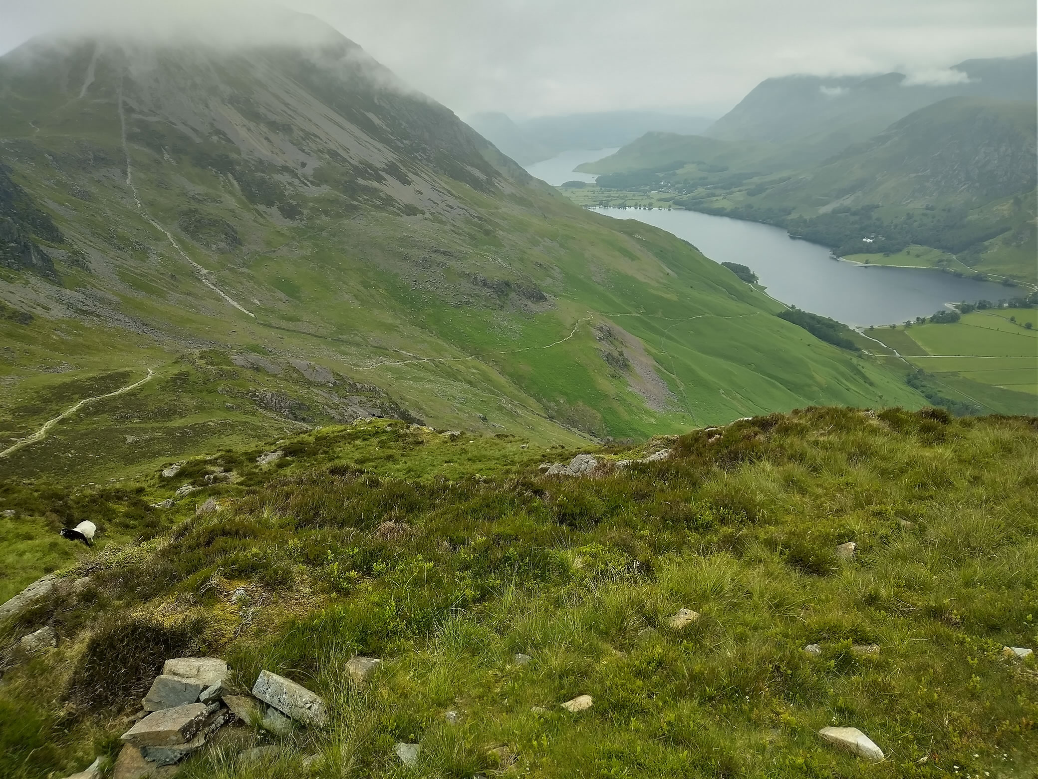 Hay Stacks Jun 25, 2024 - Image 4
