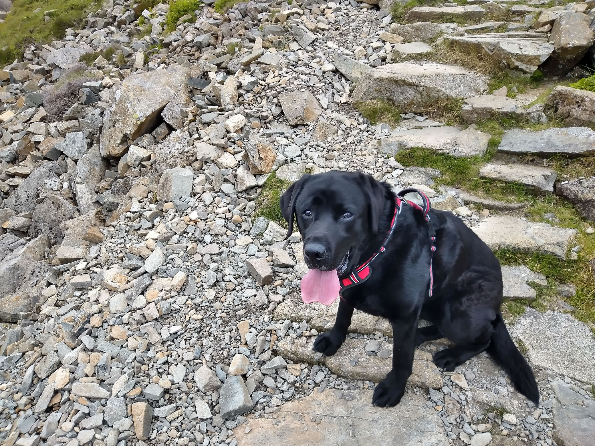 Hay Stacks Jun 25, 2024 - Image 5
