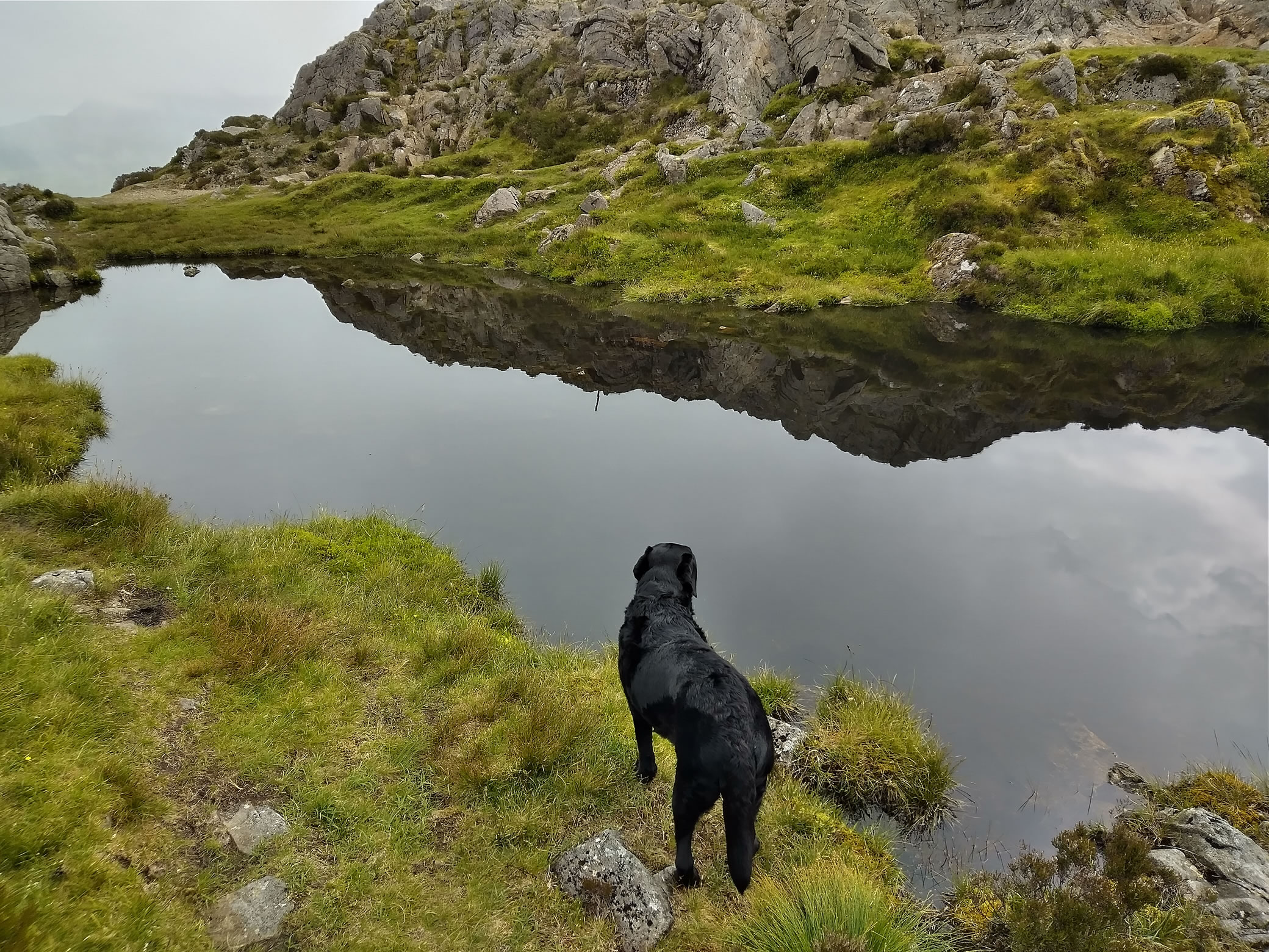 Hay Stacks Jun 25, 2024 - Image 6