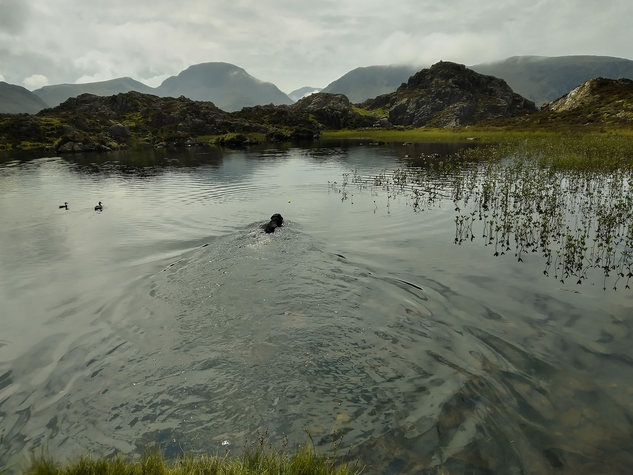 Hay Stacks Jun 25, 2024 - Image 9