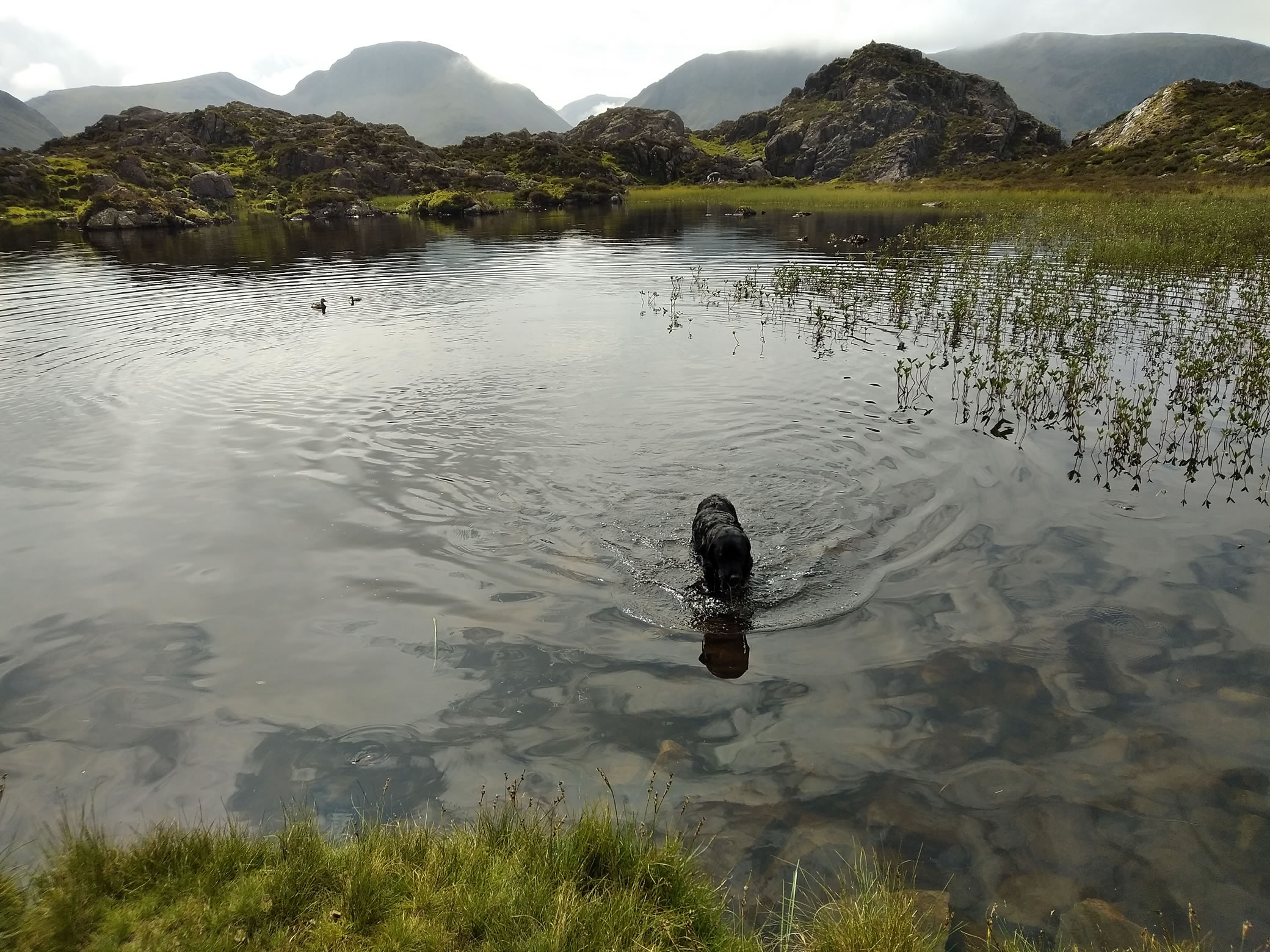 Hay Stacks Jun 25, 2024 - Image 10
