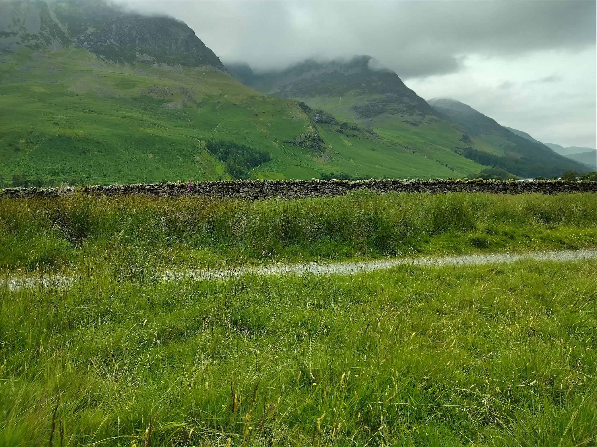 Hay Stacks Jun 25, 2024 - Image 12