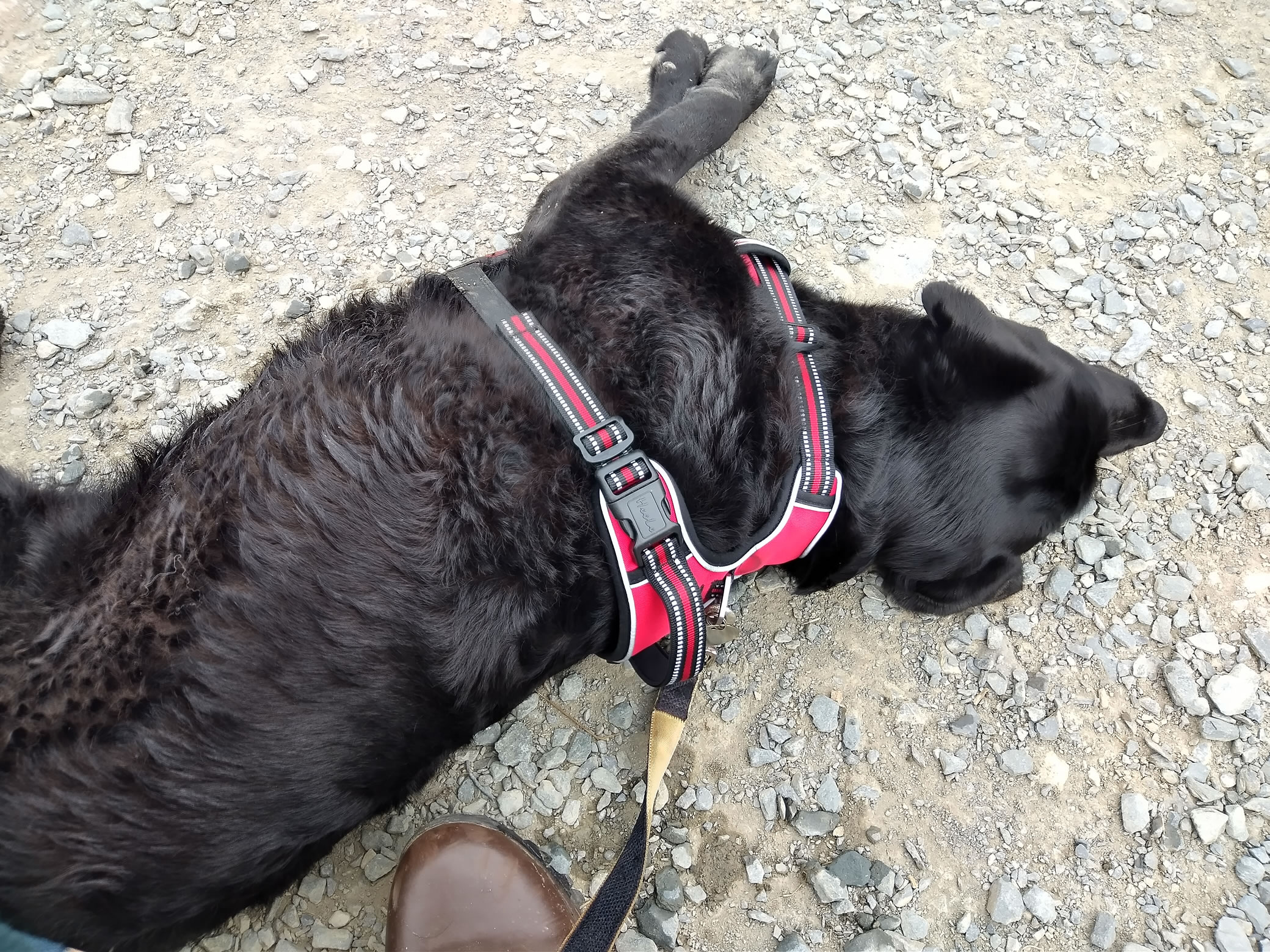 Hay Stacks Jun 25, 2024 - Image 13