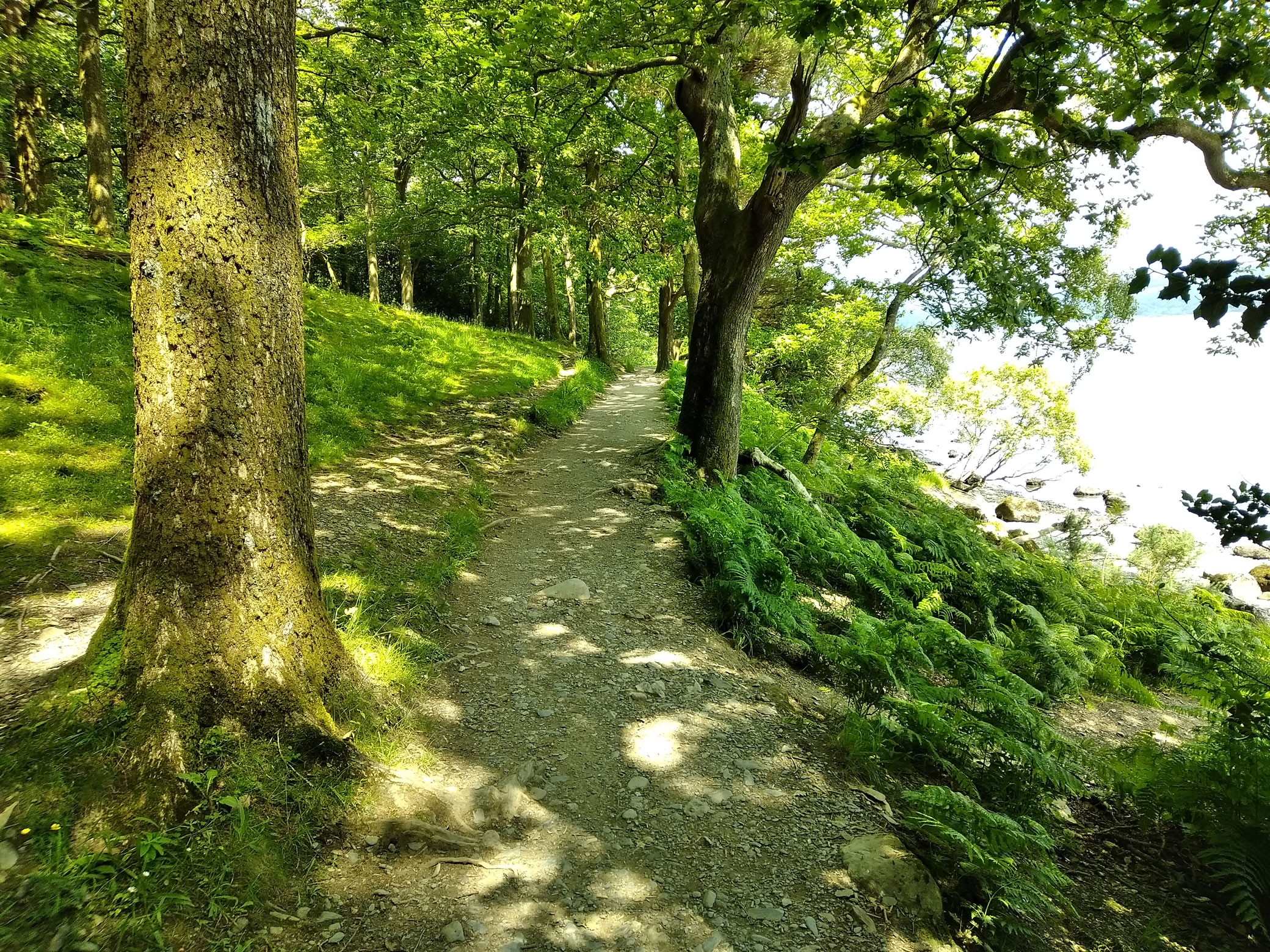 Derwent Water Jun 26, 2024 - Image 7