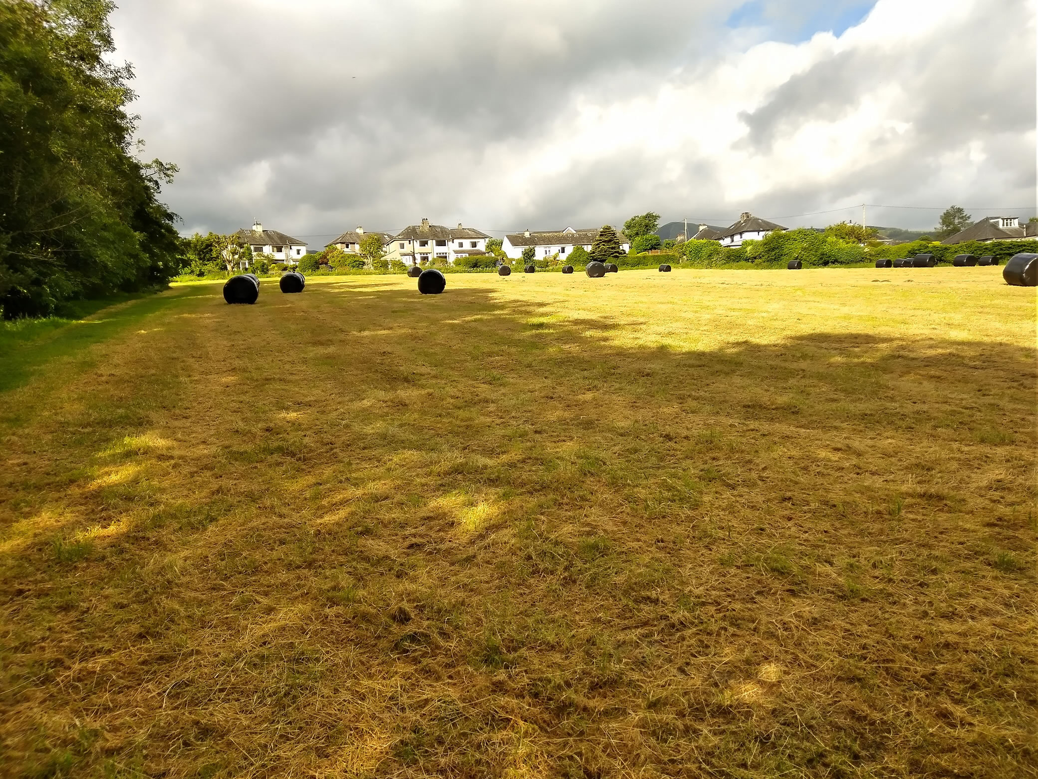 Red Pike attempt Jun 27, 2024 - Image 2