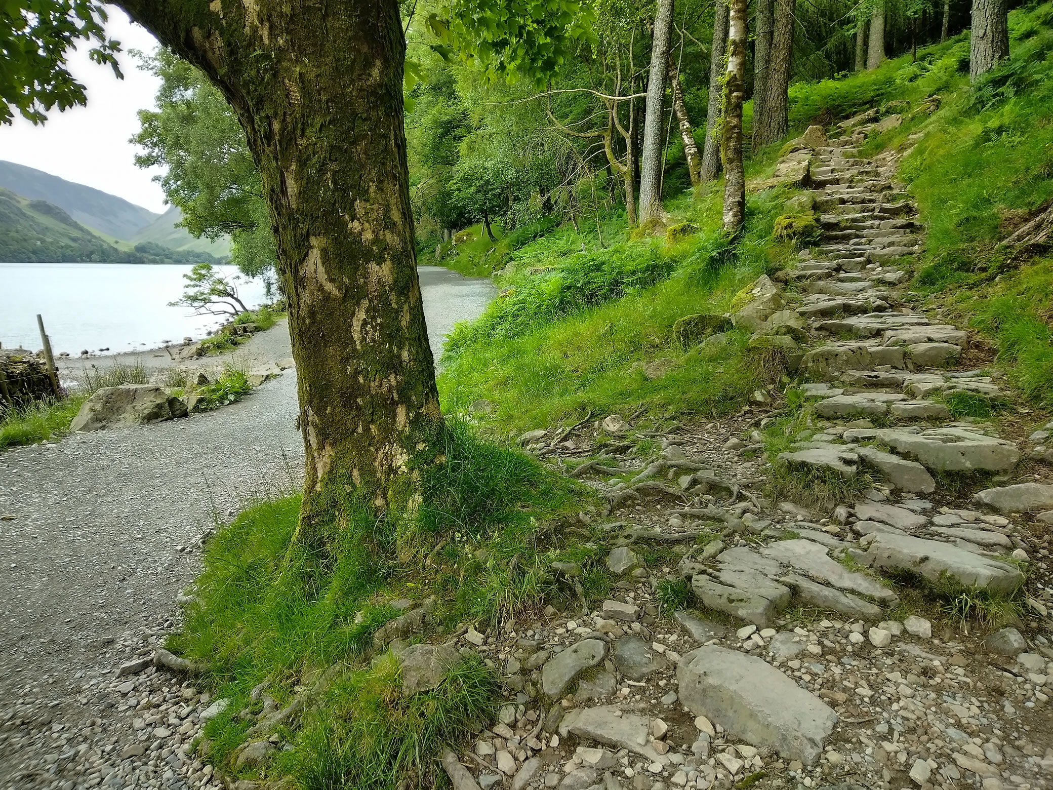 Red Pike attempt Jun 27, 2024 - Image 3