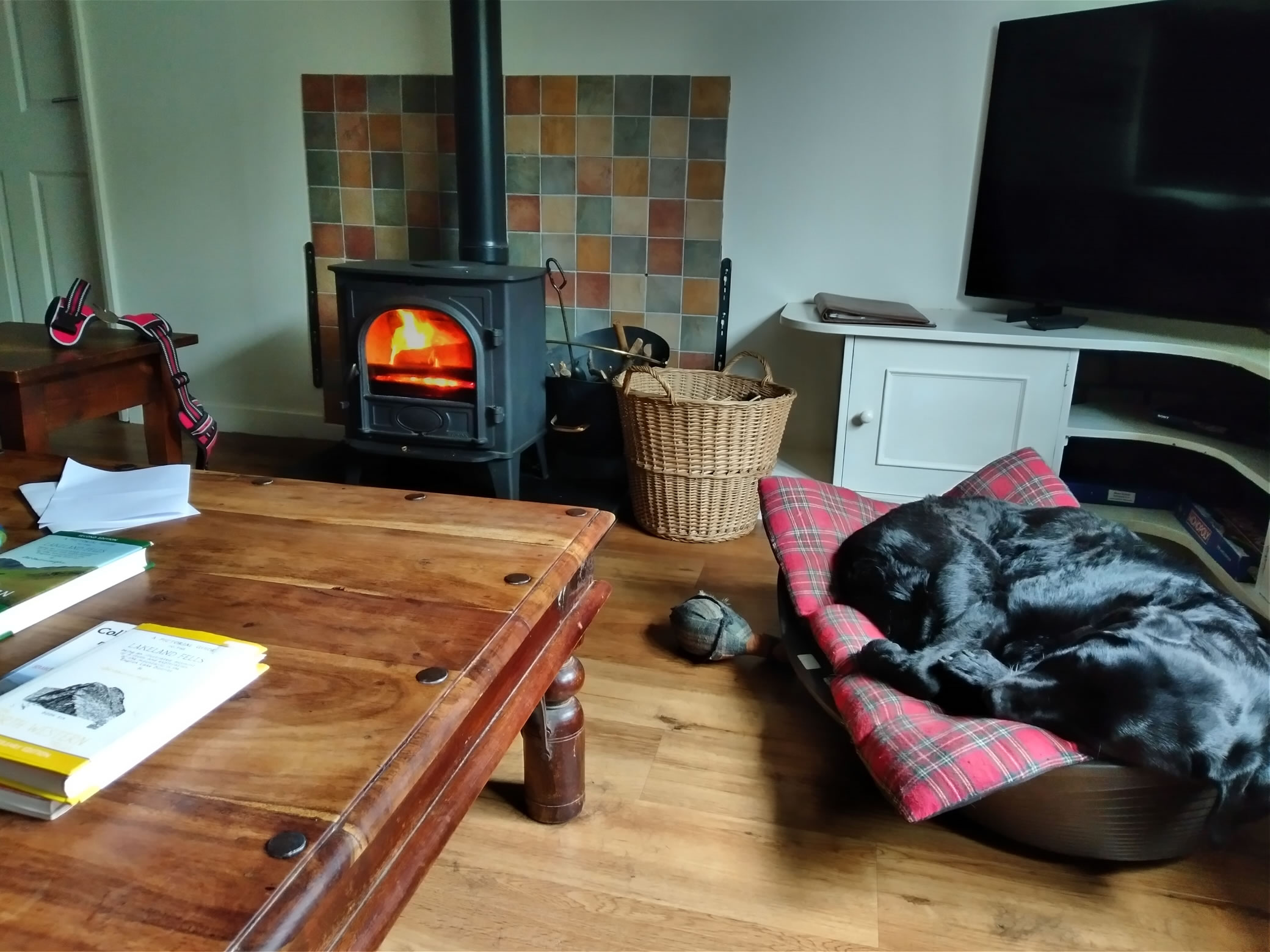 Red Pike attempt Jun 27, 2024 - Image 7