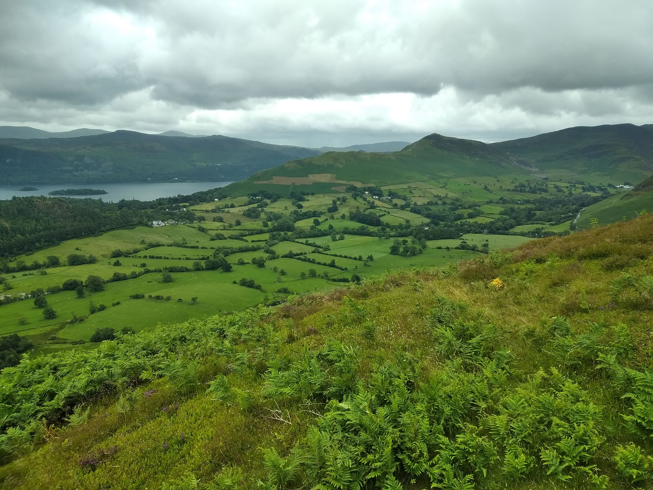 Stile End Jun 28, 2024 - Image 5