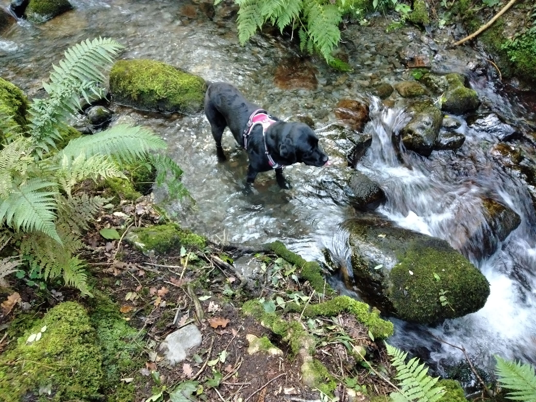 Barrow Wander Aug 31, 2024 - Image 3