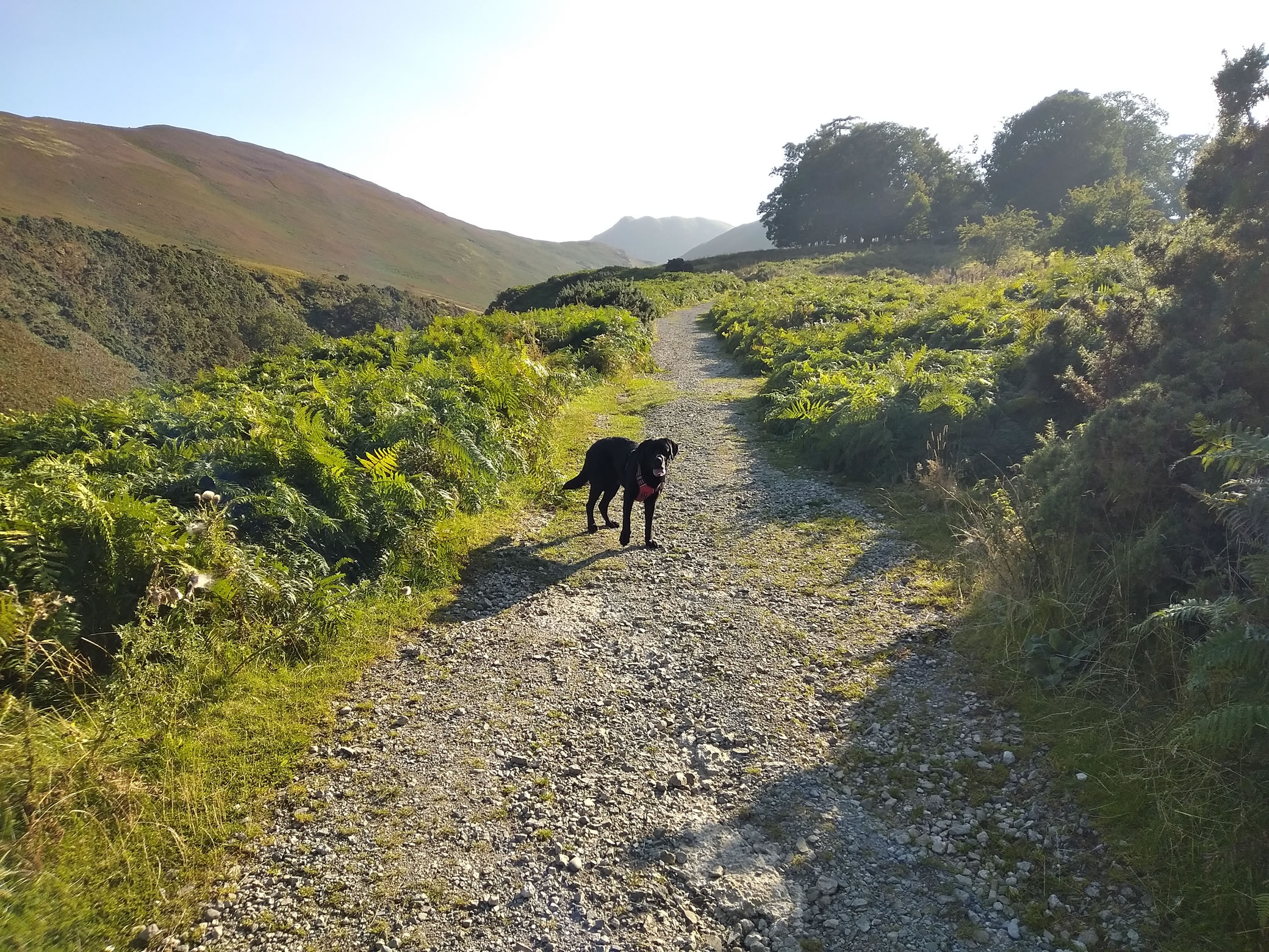 Barrow Wander Aug 31, 2024 - Image 4