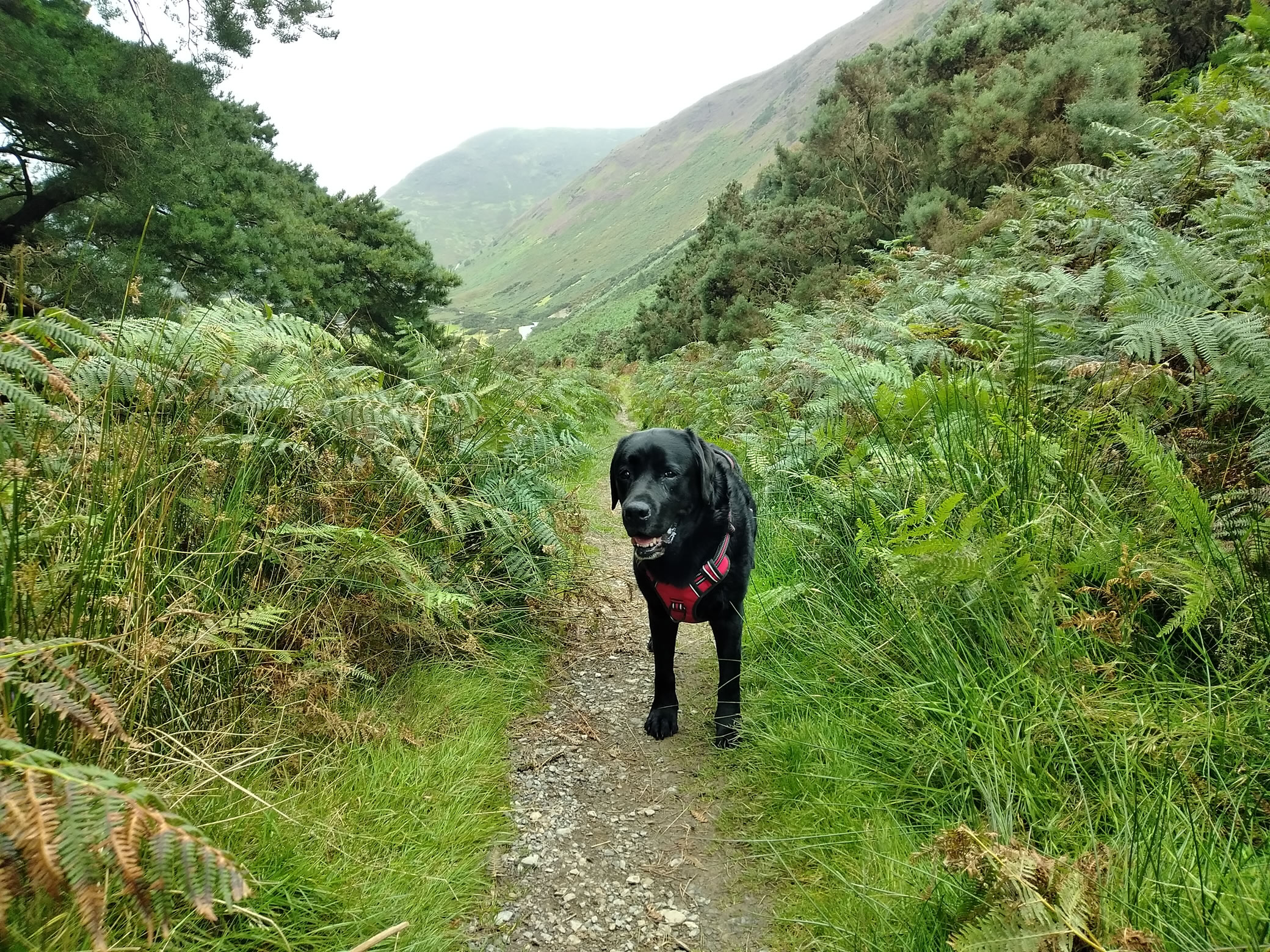 Barrow Wander Aug 31, 2024 - Image 9