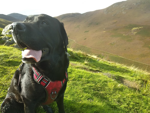 Causey Pike - Rainbow !