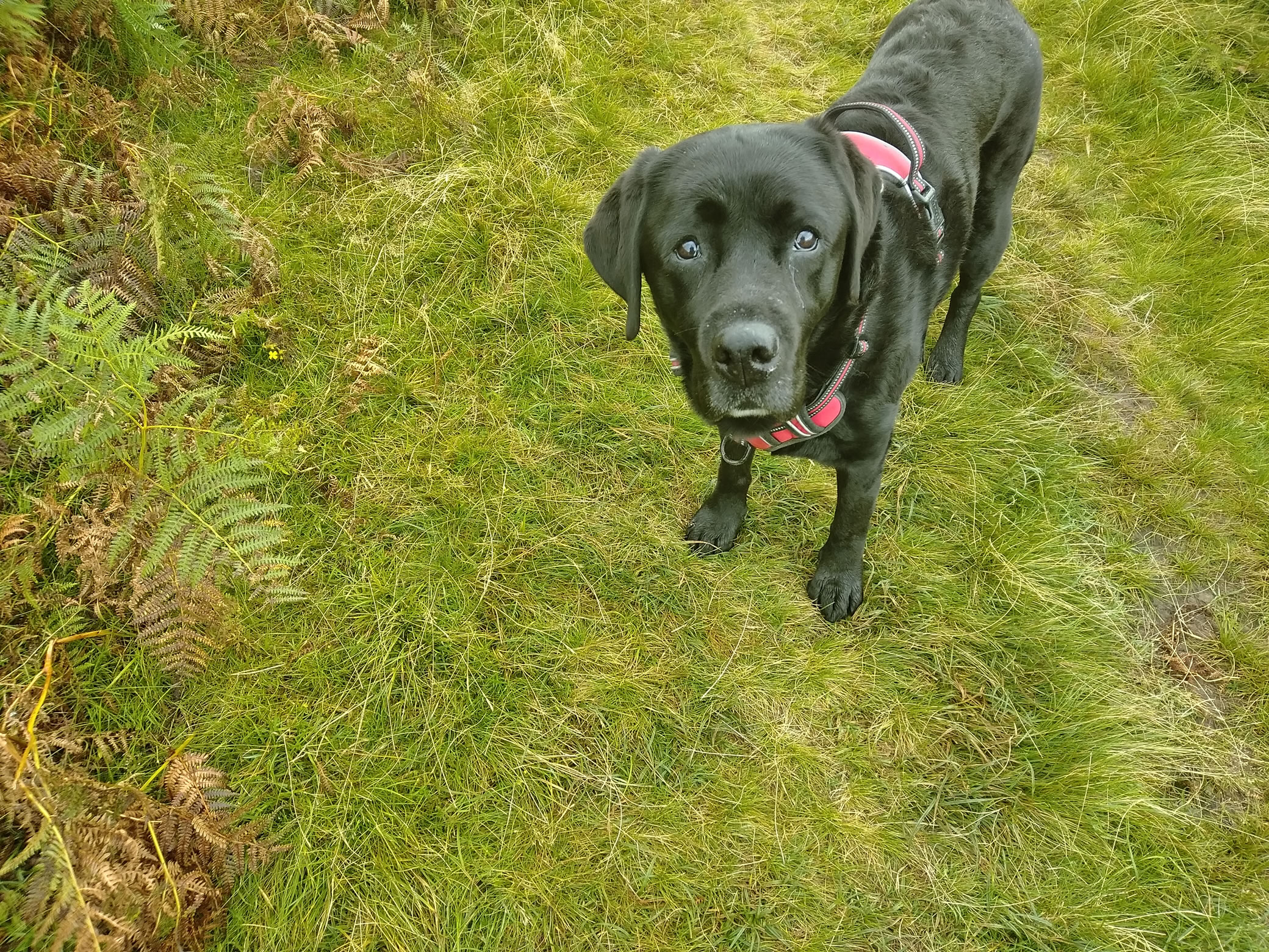 Causey Pike - Rainbow ! Sep 04, 2024 - Image 3