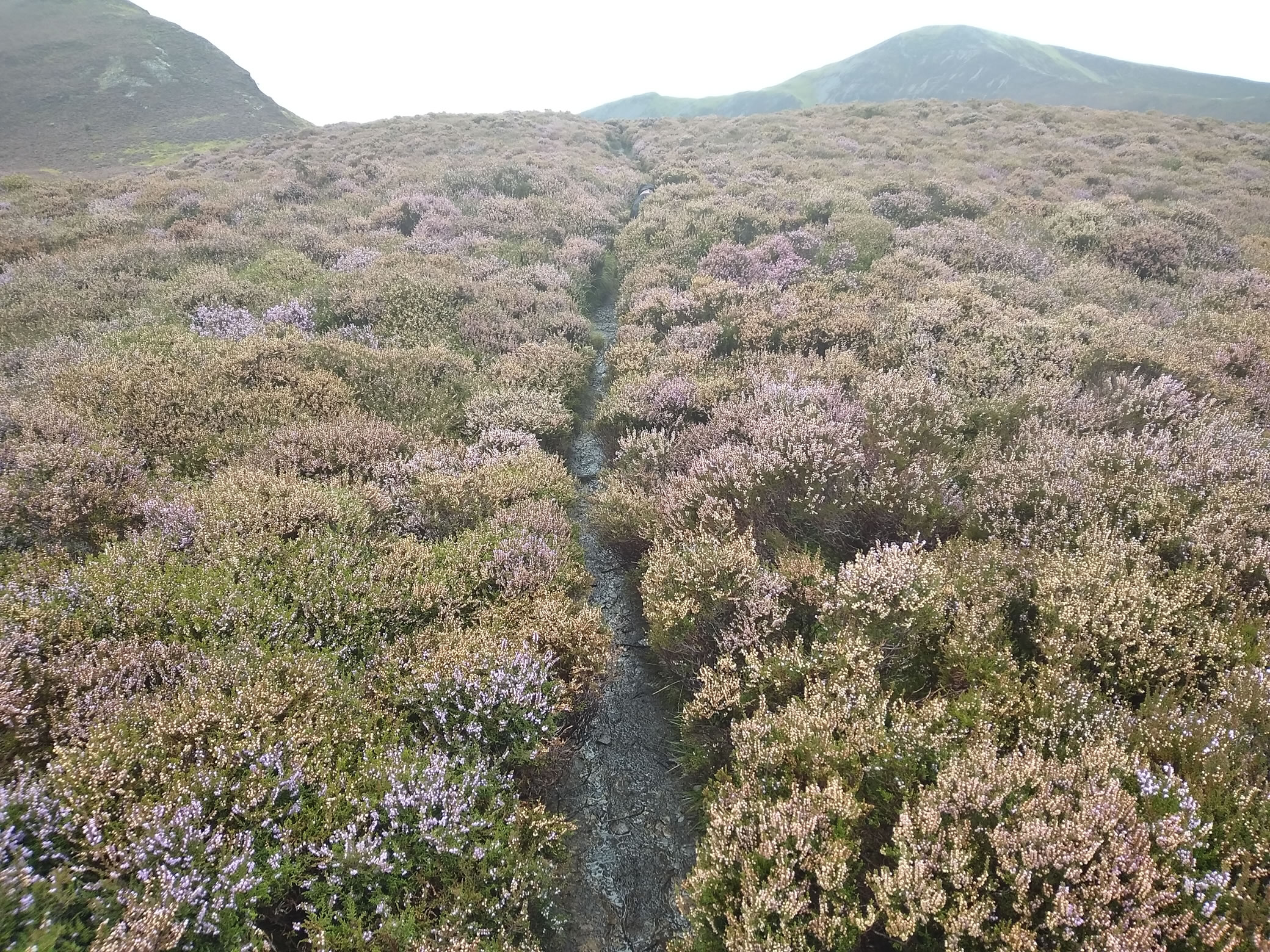 Causey Pike - Rainbow ! Sep 04, 2024 - Image 4