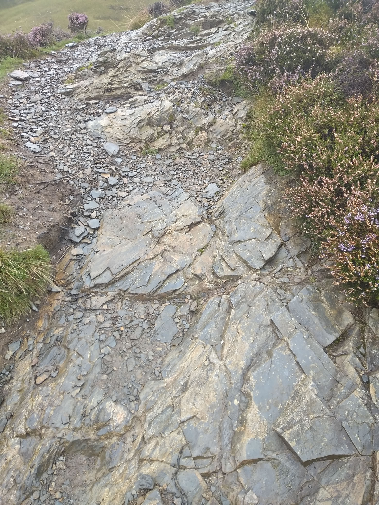 Causey Pike - Rainbow ! Sep 04, 2024 - Image 5