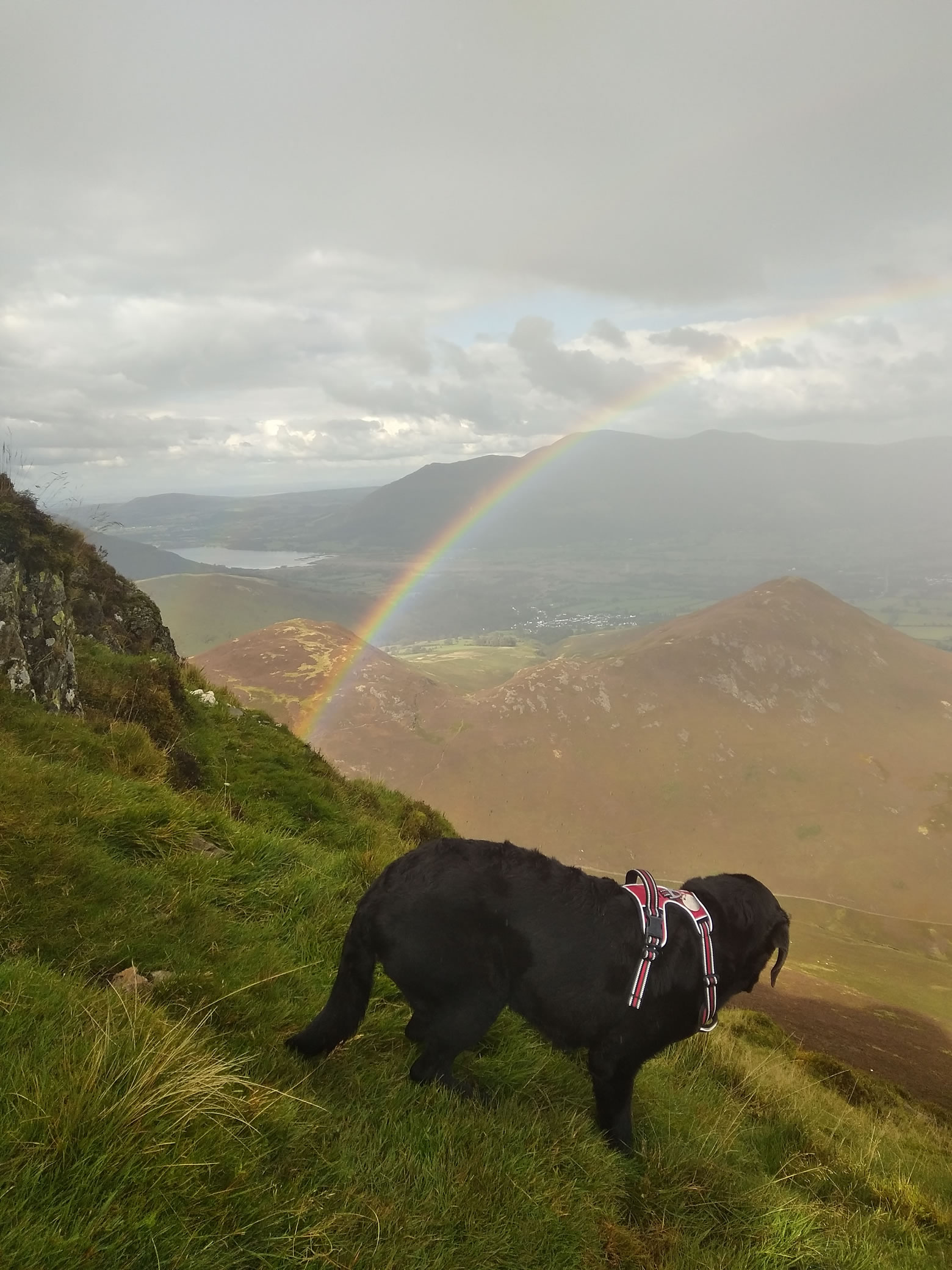 Causey Pike - Rainbow ! Sep 04, 2024 - Image 9
