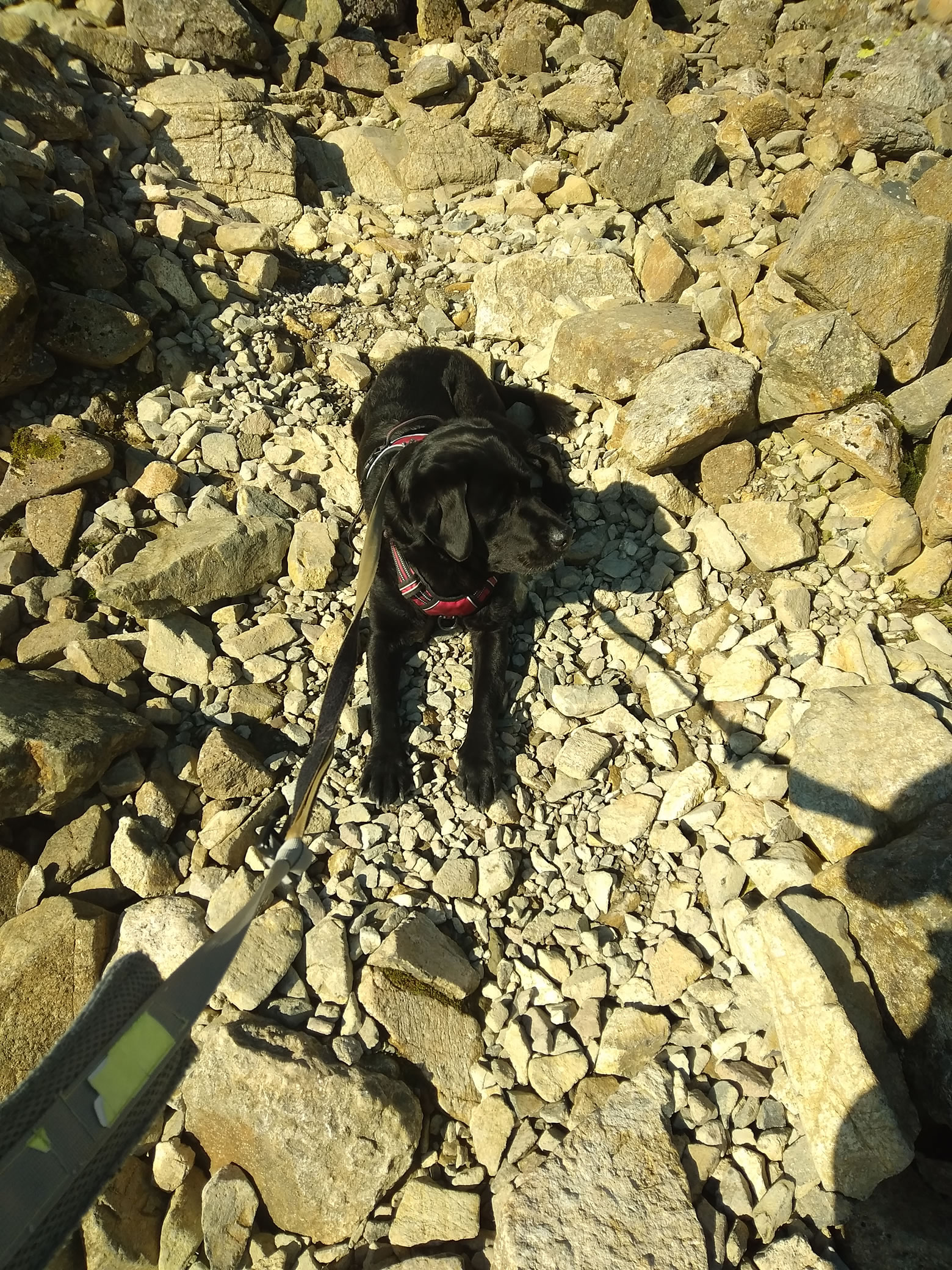 Great Gable Sep 06, 2024 - Image 7