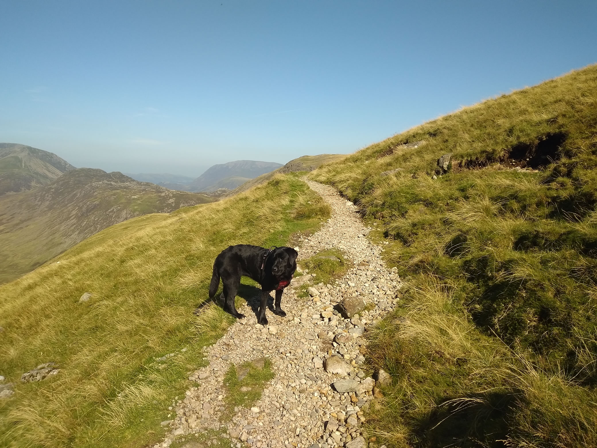 Great Gable Sep 06, 2024 - Image 14