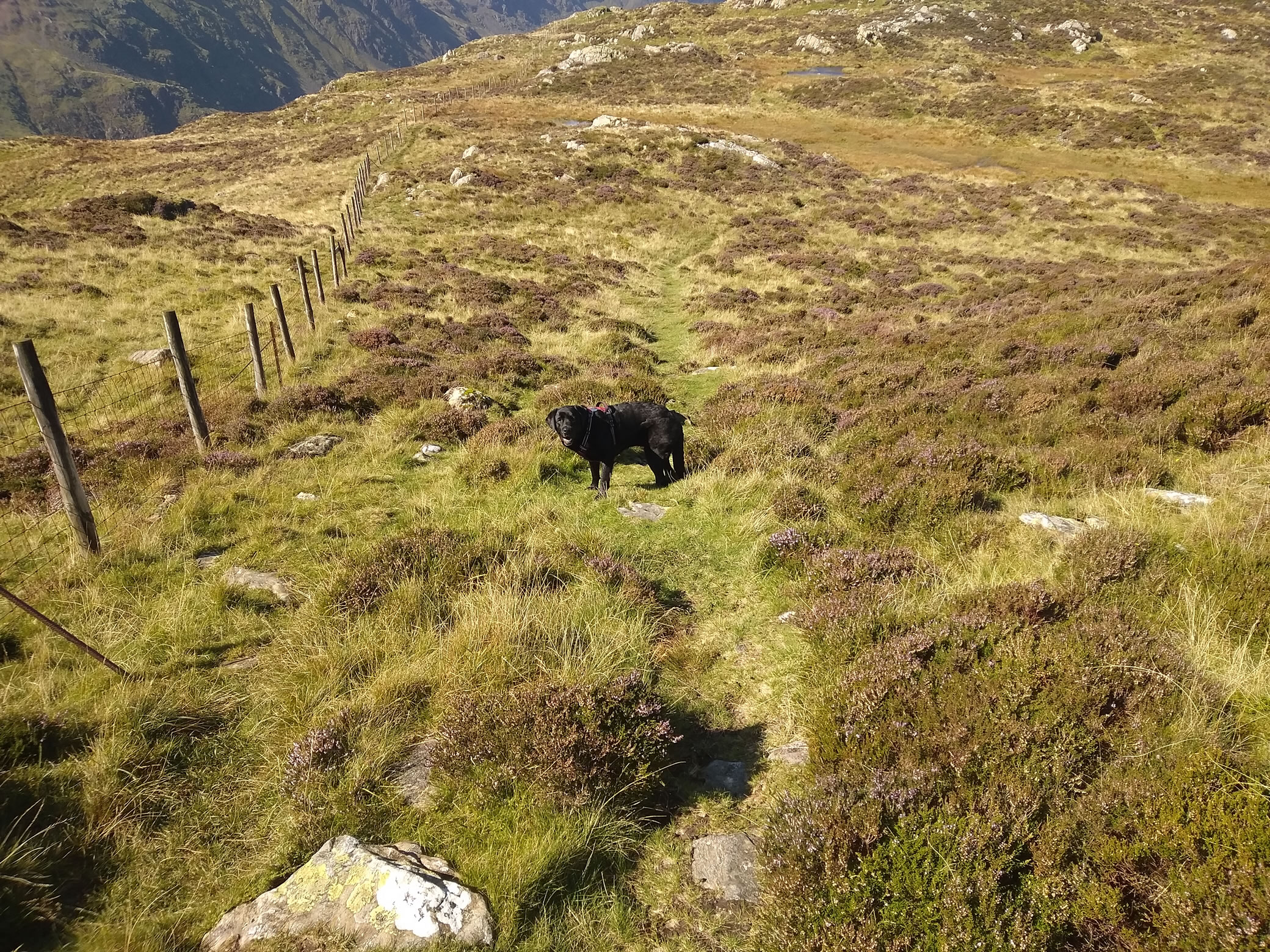 Great Gable Sep 06, 2024 - Image 16
