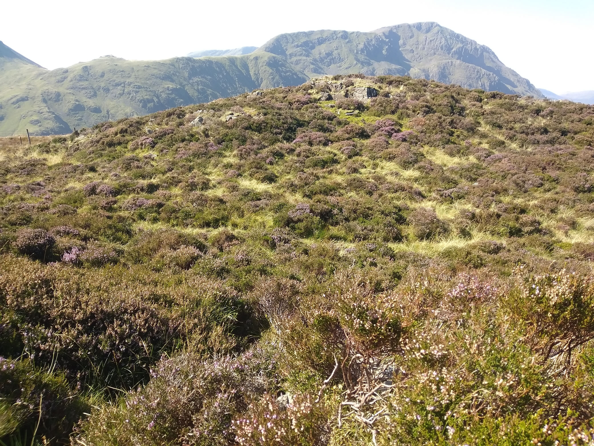 Great Gable Sep 06, 2024 - Image 17
