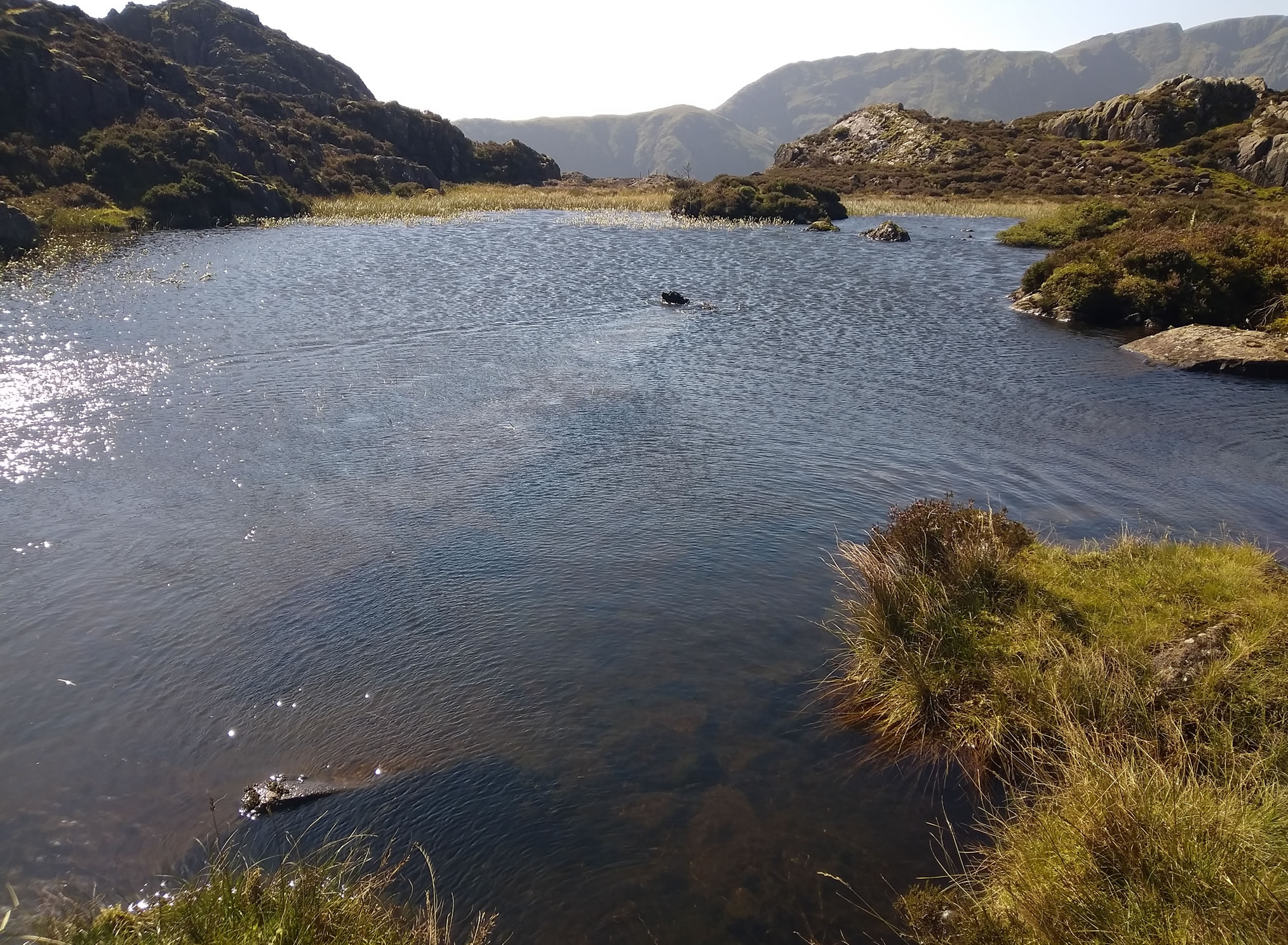 Great Gable Sep 06, 2024 - Image 19