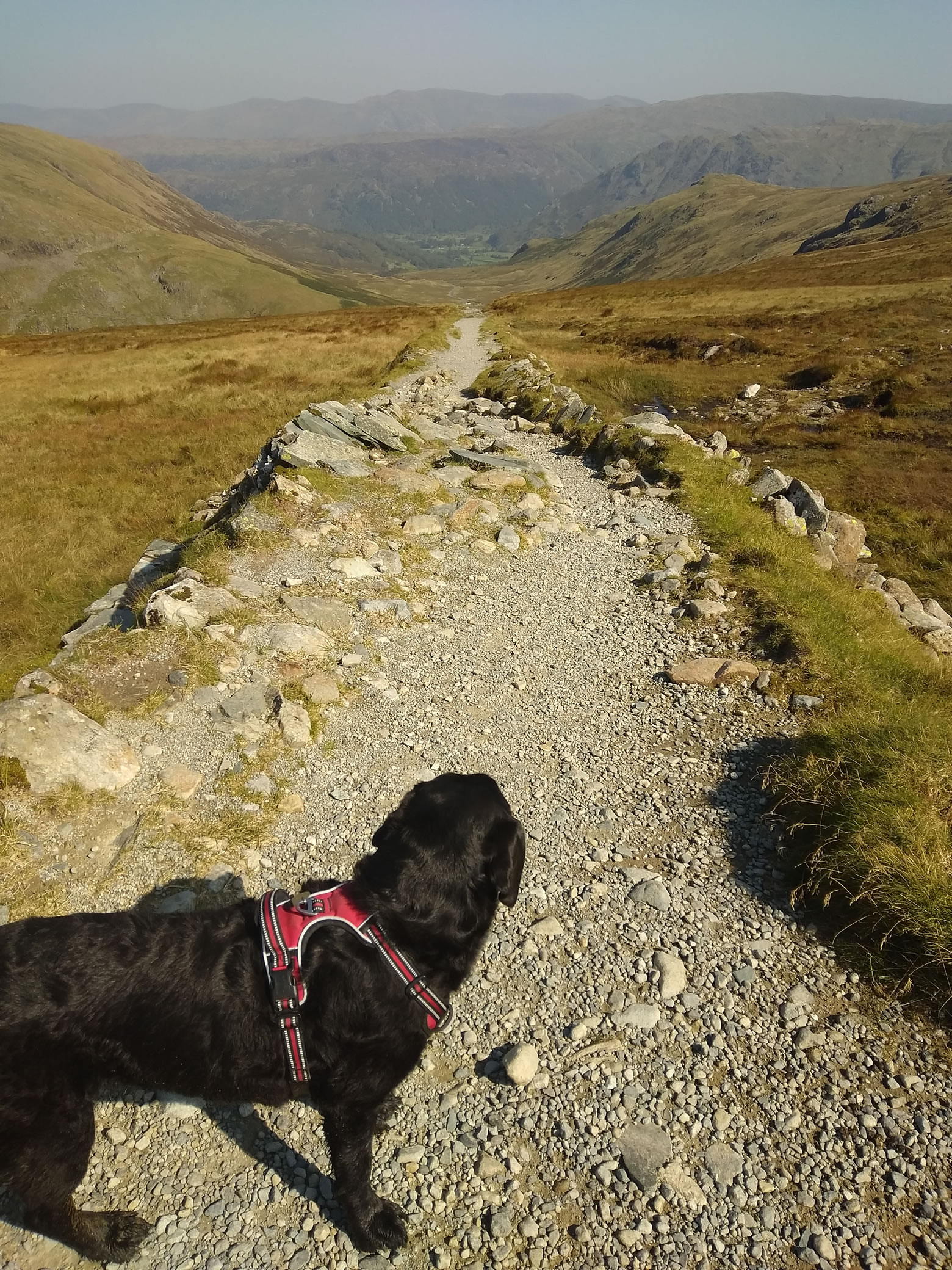 Great Gable Sep 06, 2024 - Image 21