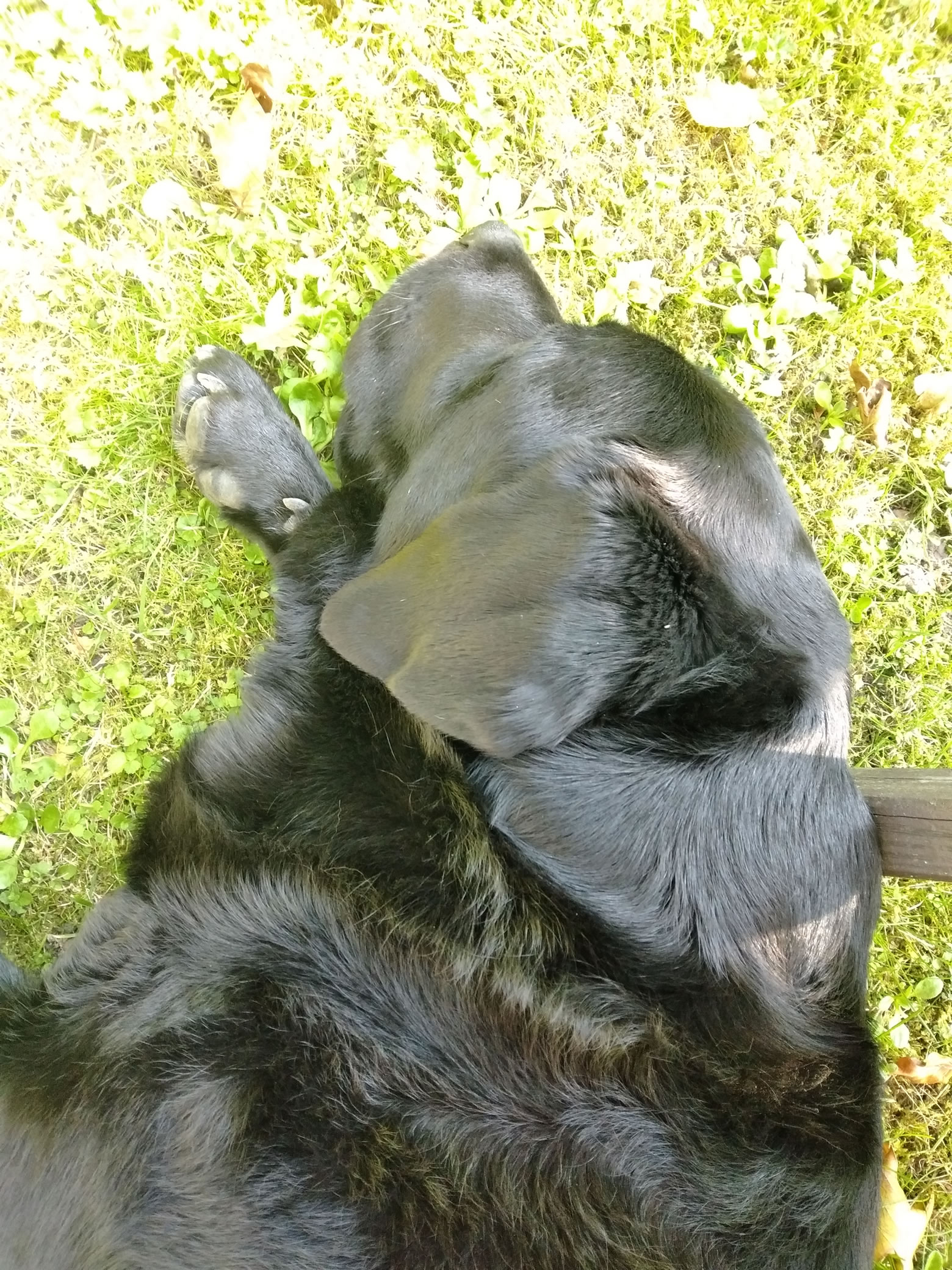 Great Gable Sep 06, 2024 - Image 22