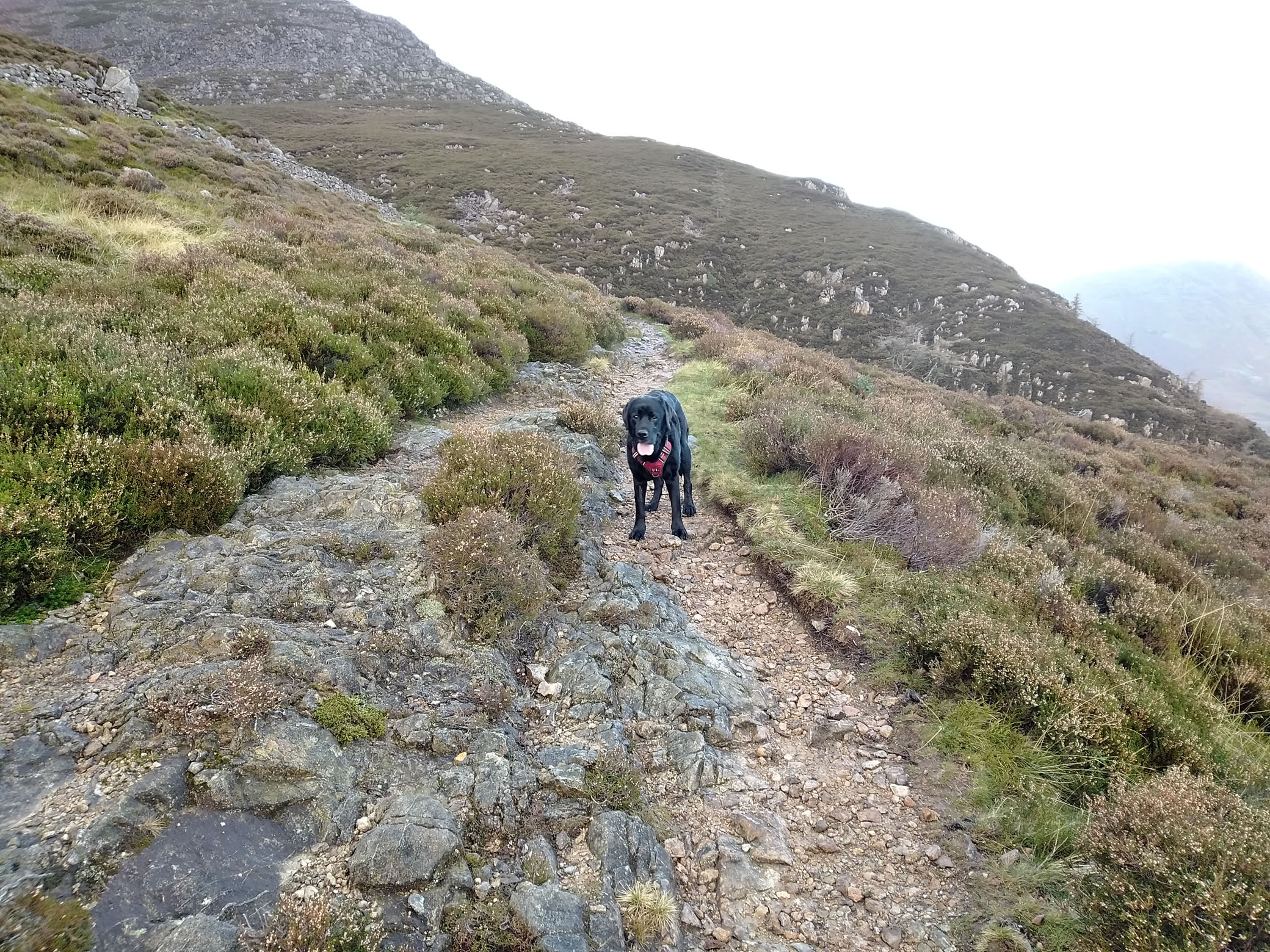 High Stile Ridge Oct 27, 2024 - Image 8