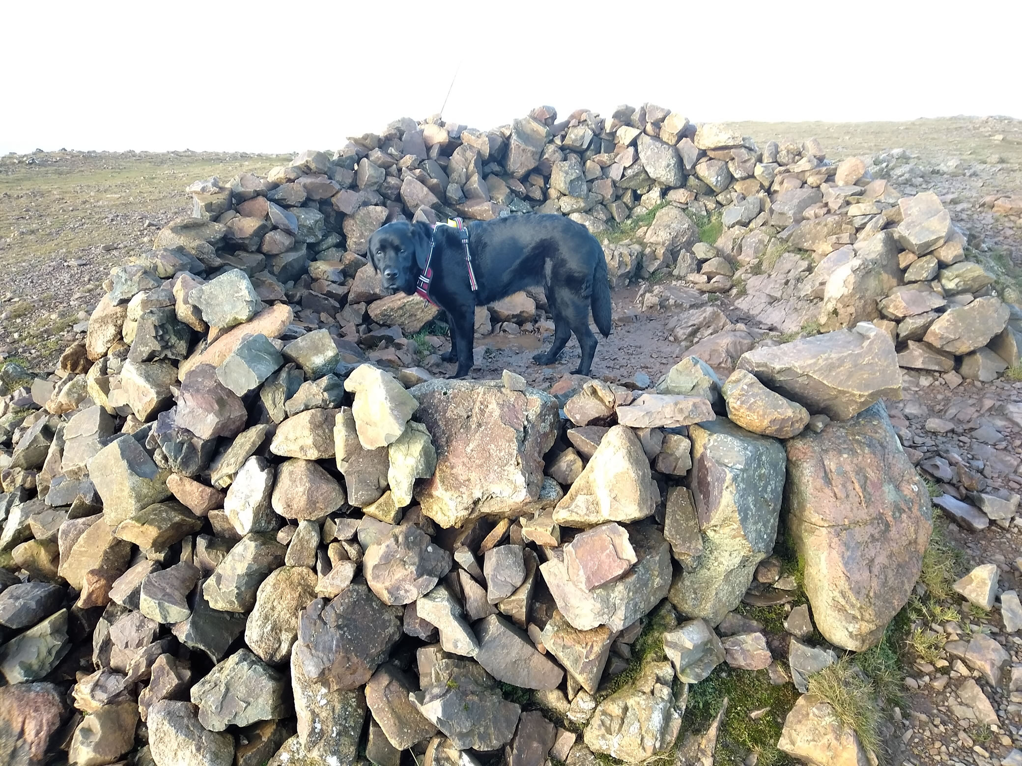 High Stile Ridge Oct 27, 2024 - Image 11