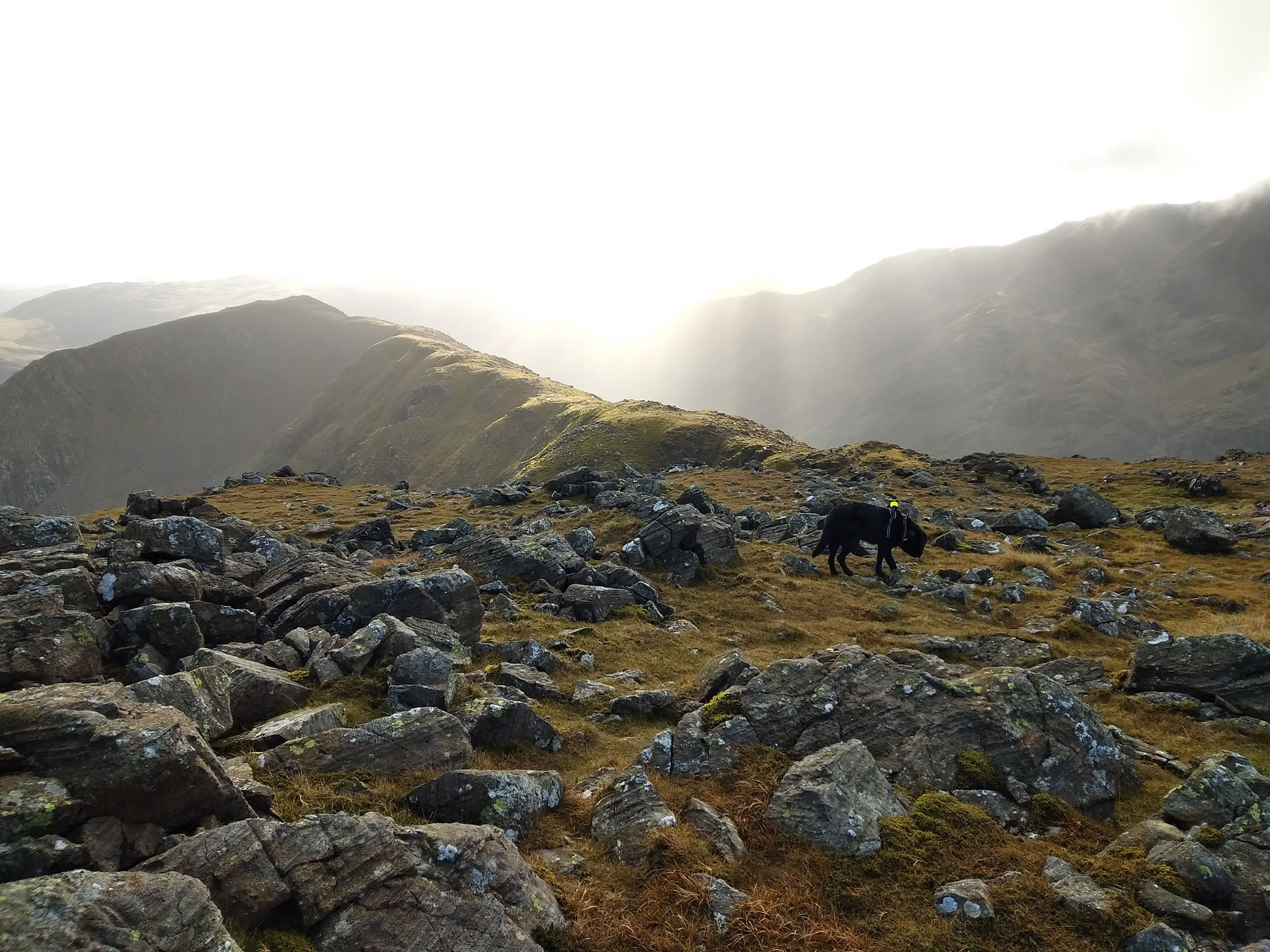 High Stile Ridge Oct 27, 2024 - Image 12
