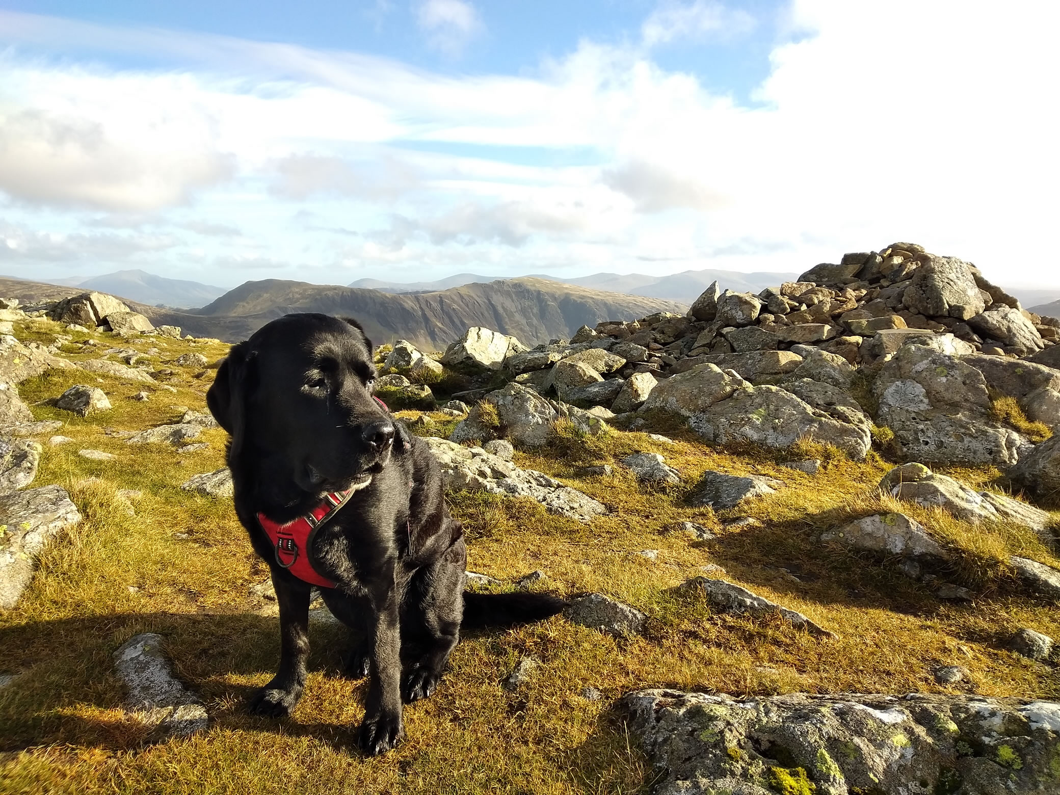 High Stile Ridge Oct 27, 2024 - Image 13