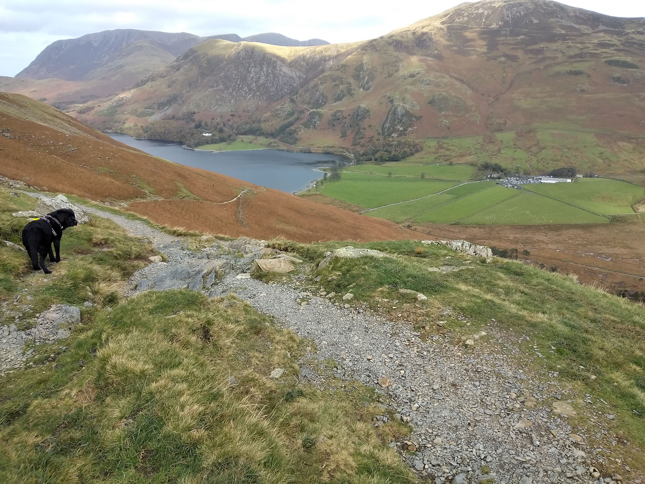 High Stile Ridge Oct 27, 2024 - Image 14