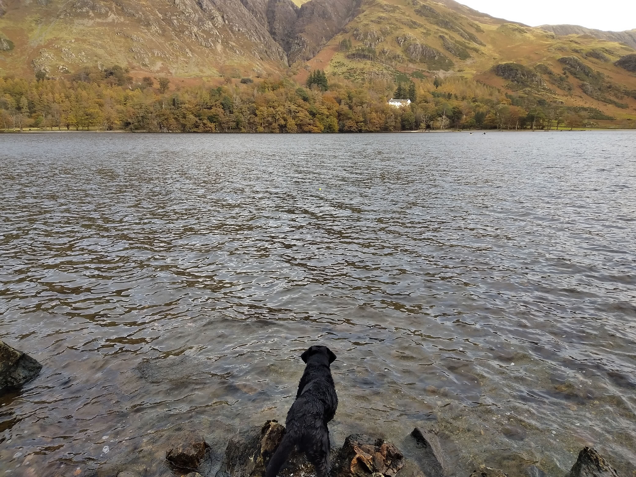 High Stile Ridge Oct 27, 2024 - Image 16