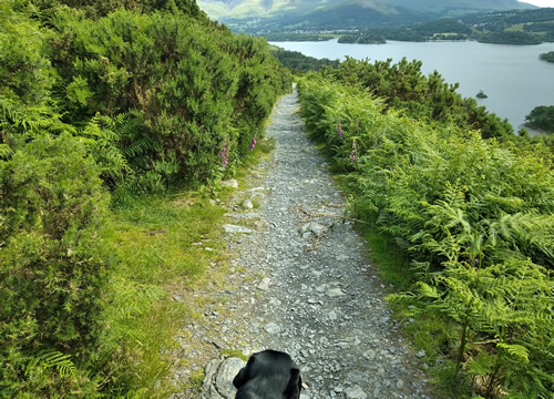 Cat Bells