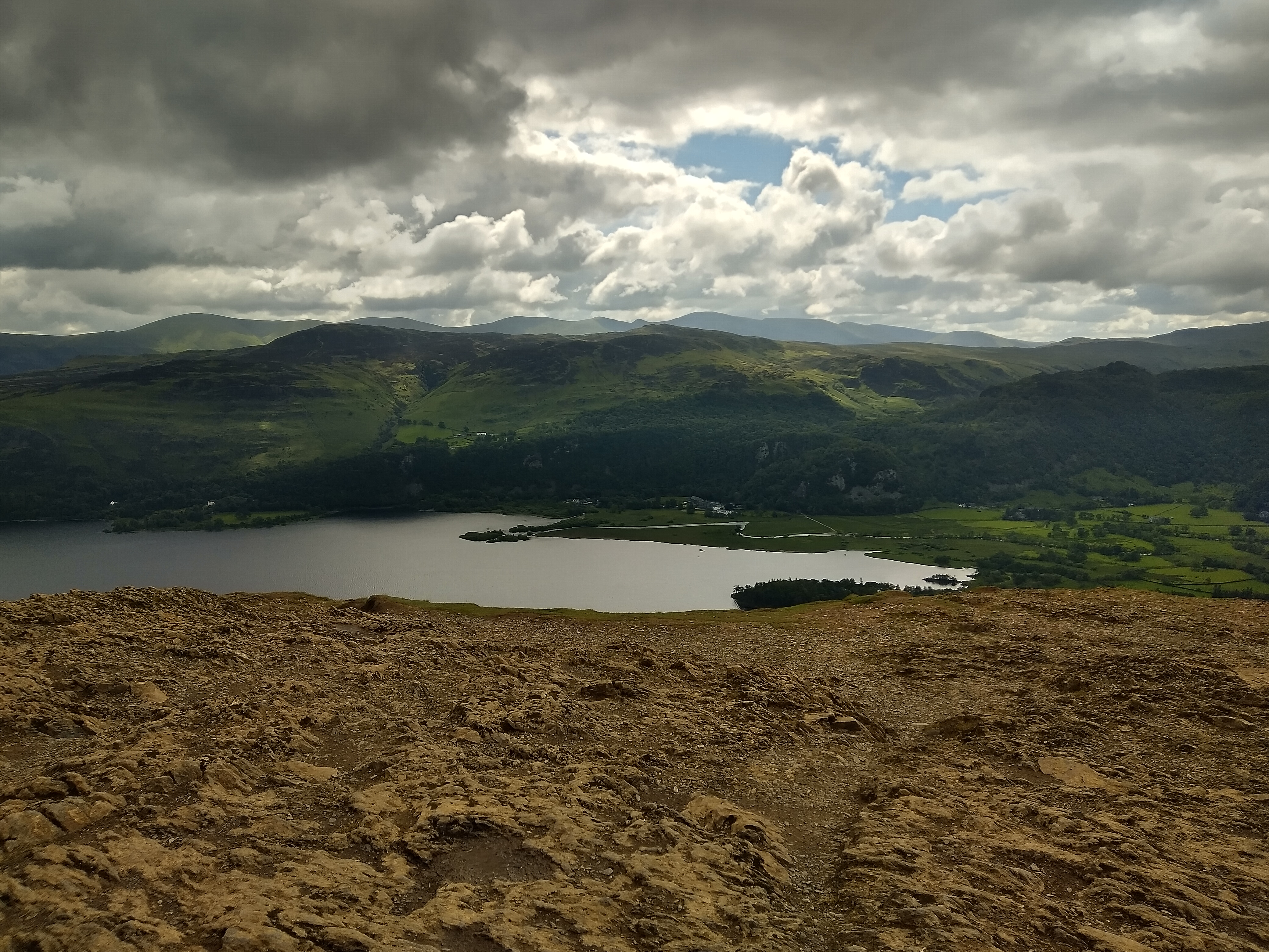 Cat Bells - Image 3, Jun 10, 2024