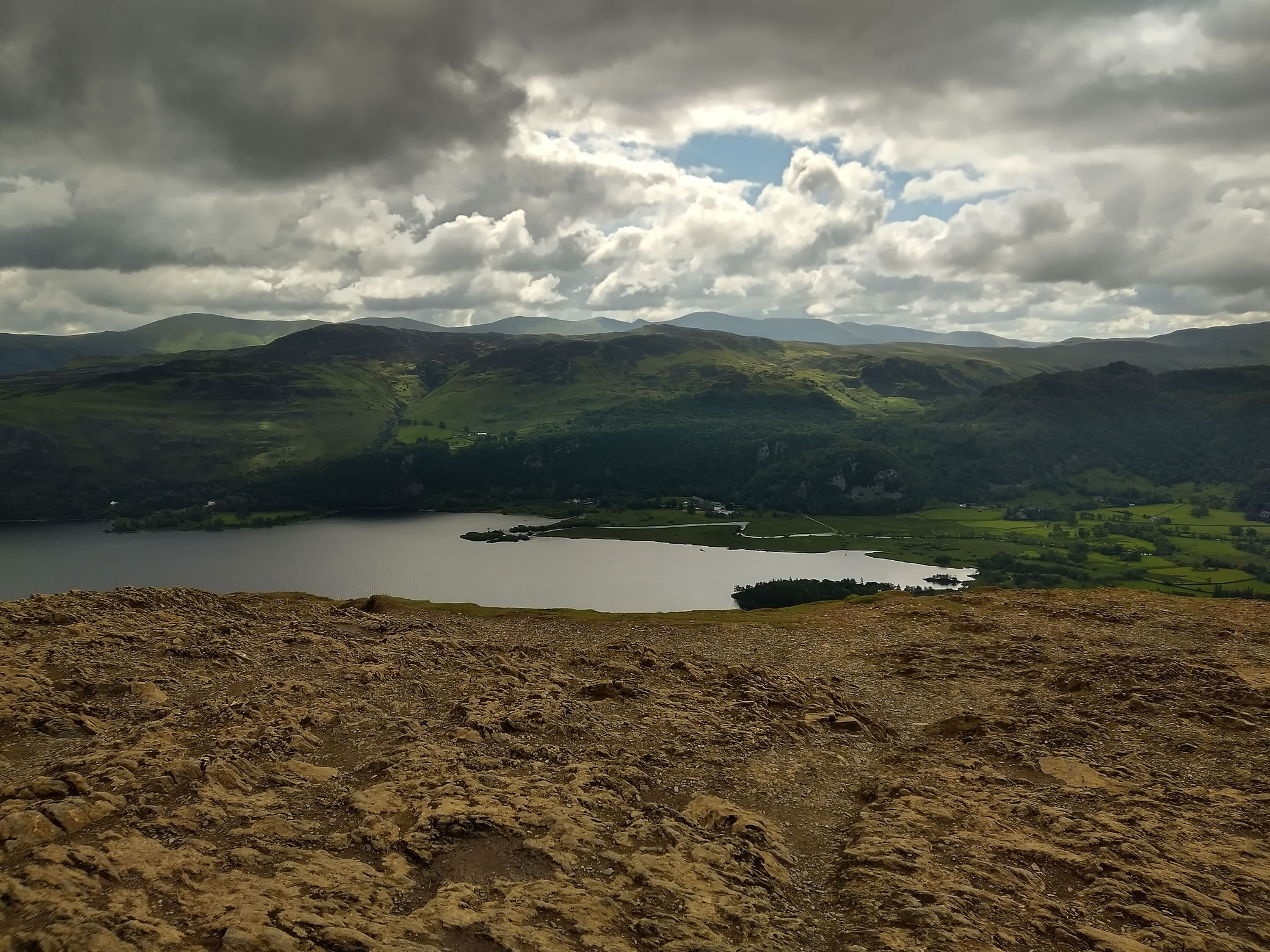 Cat Bells - Image 3, Jun 10, 2024