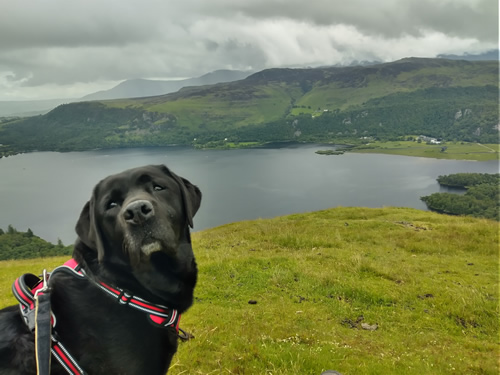 Cat Bells [in the rain]