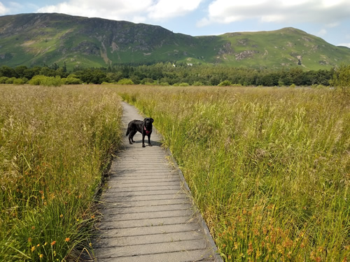 Derwent Water