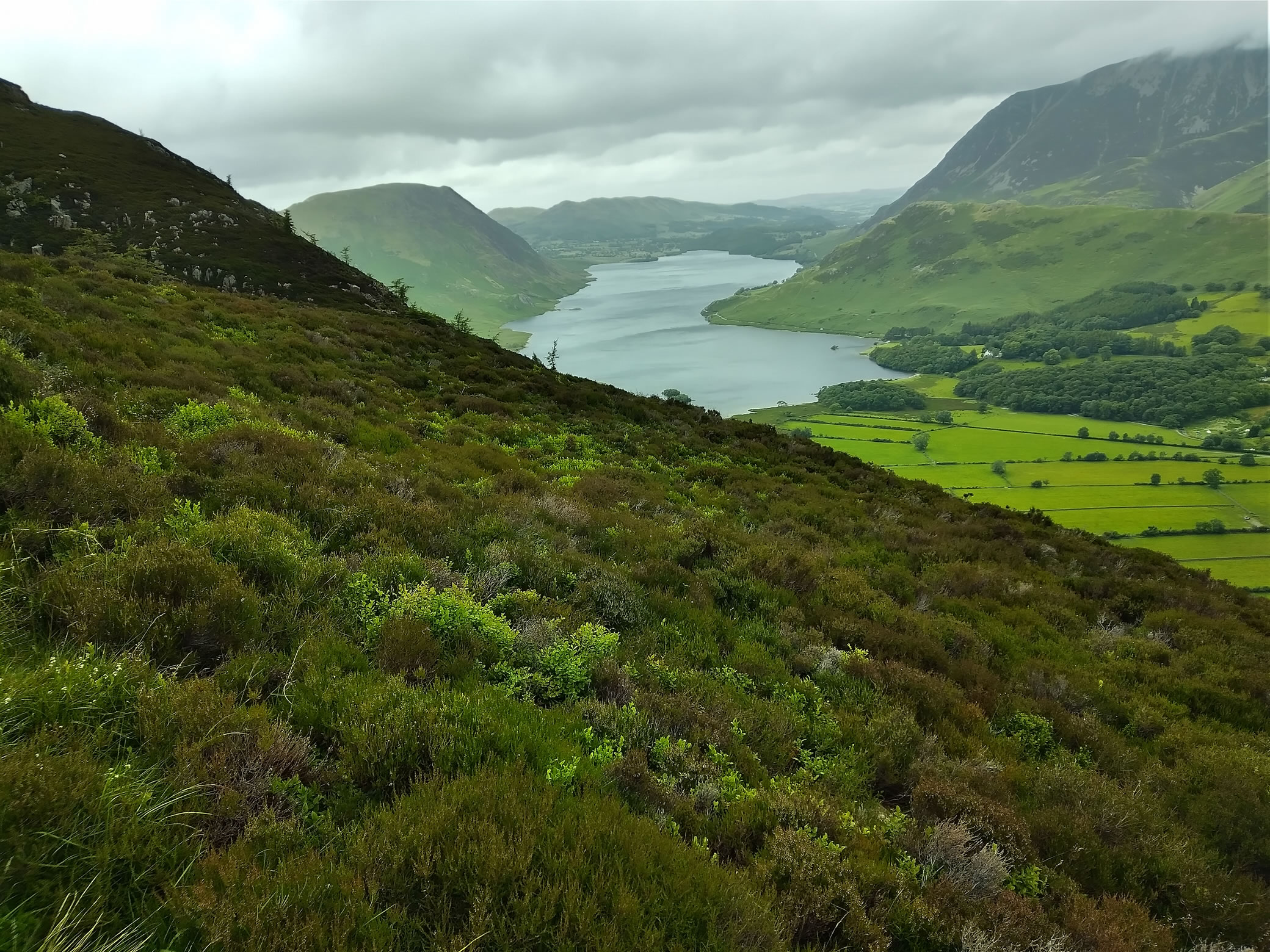 Red Pike attempt - Image 6, Jun 27, 2024