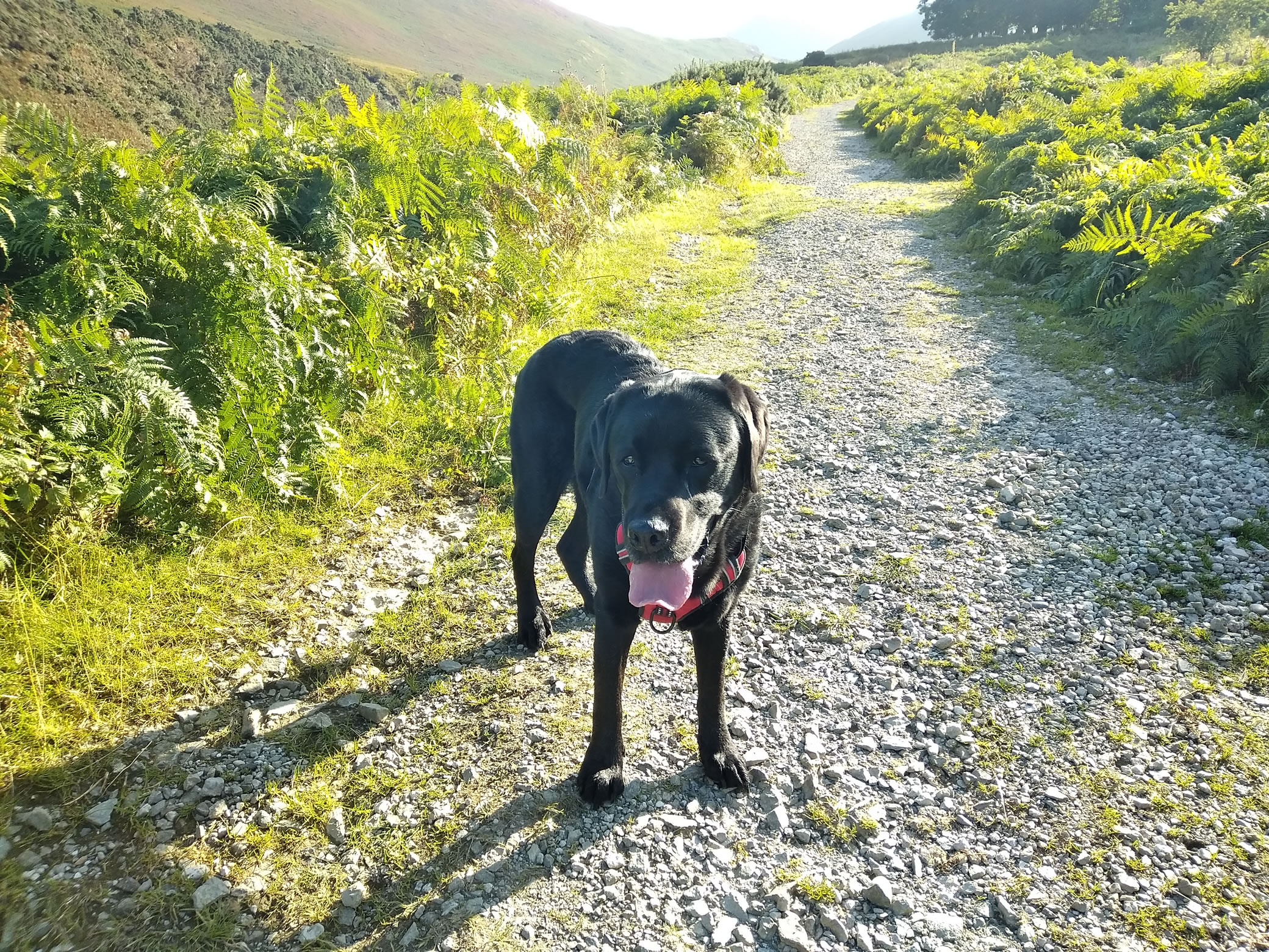 Stile End - Image 1, Jun 28, 2024