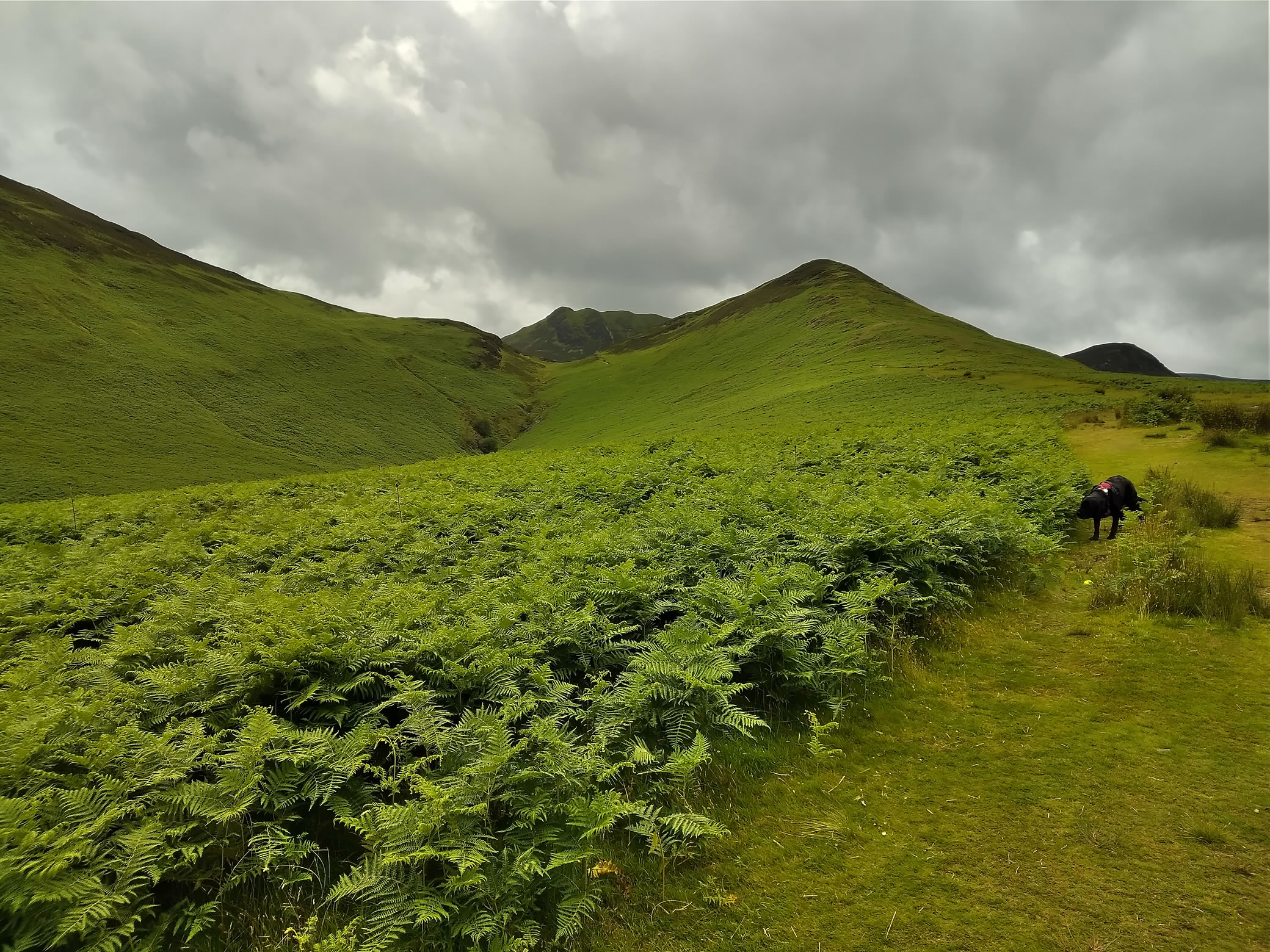 Stile End - Image 4, Jun 28, 2024