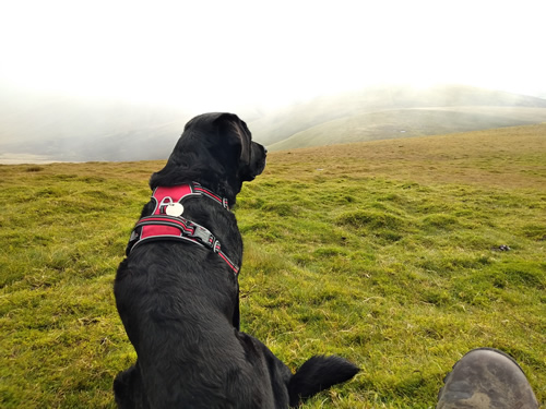 Skiddaw