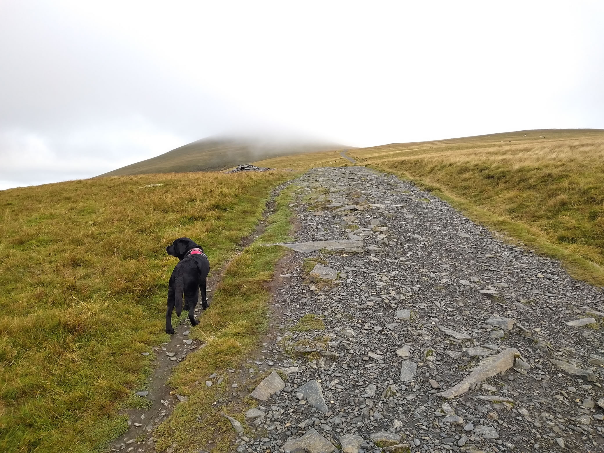 Skiddaw - Image 2, Sep 03, 2024