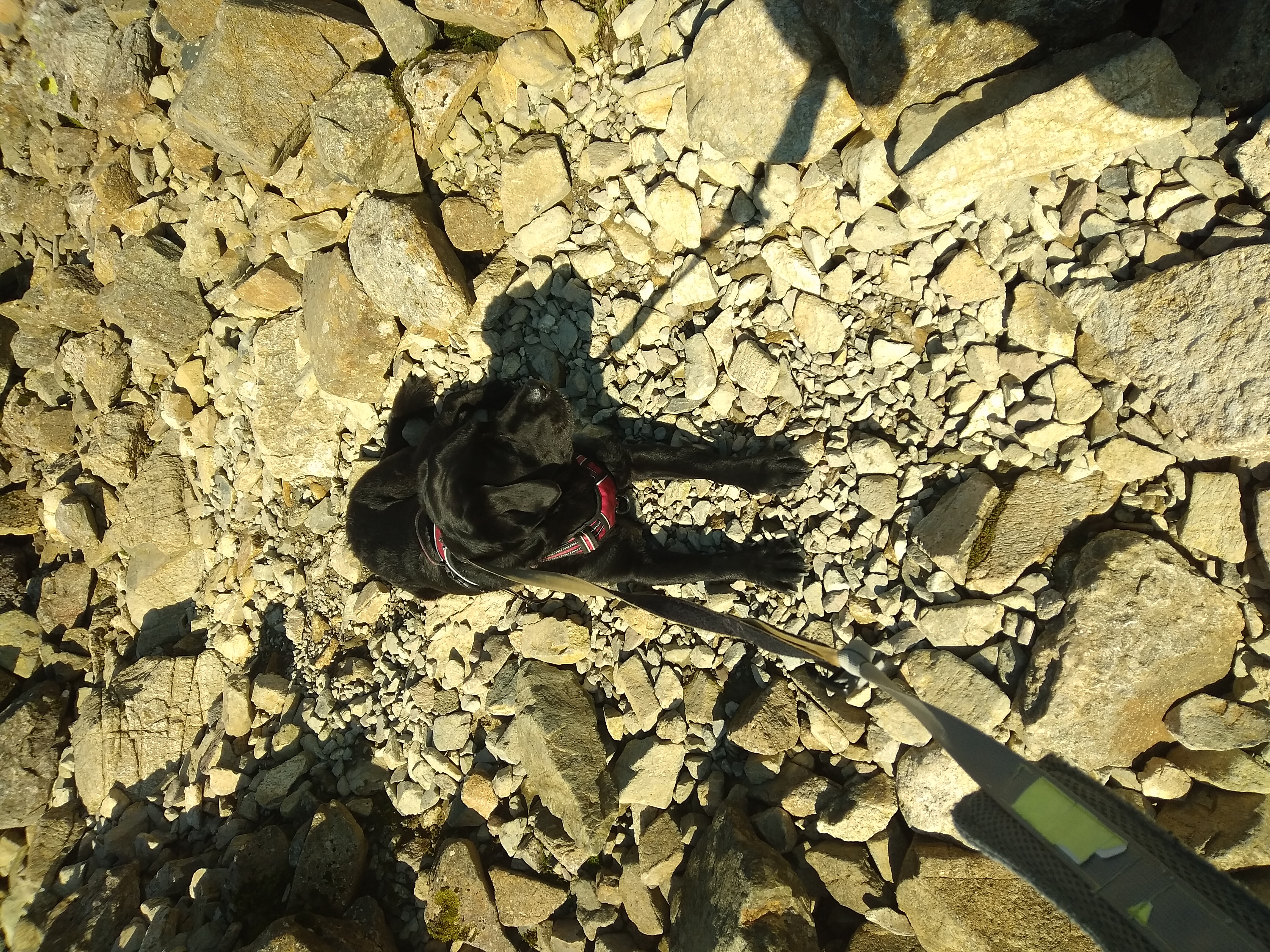 Great Gable - Image 7, Sep 06, 2024