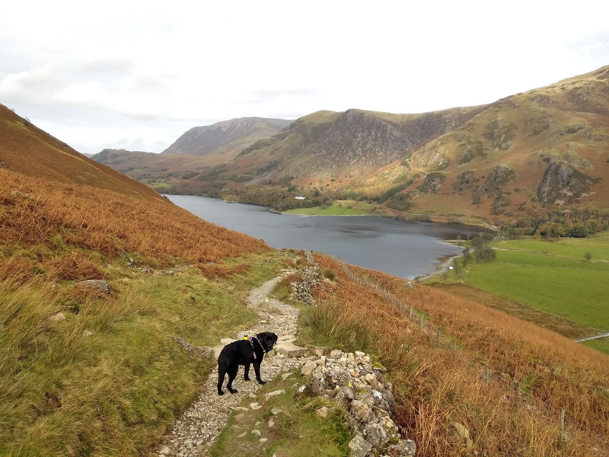 High Stile Ridge - Image 15, Oct 27, 2024